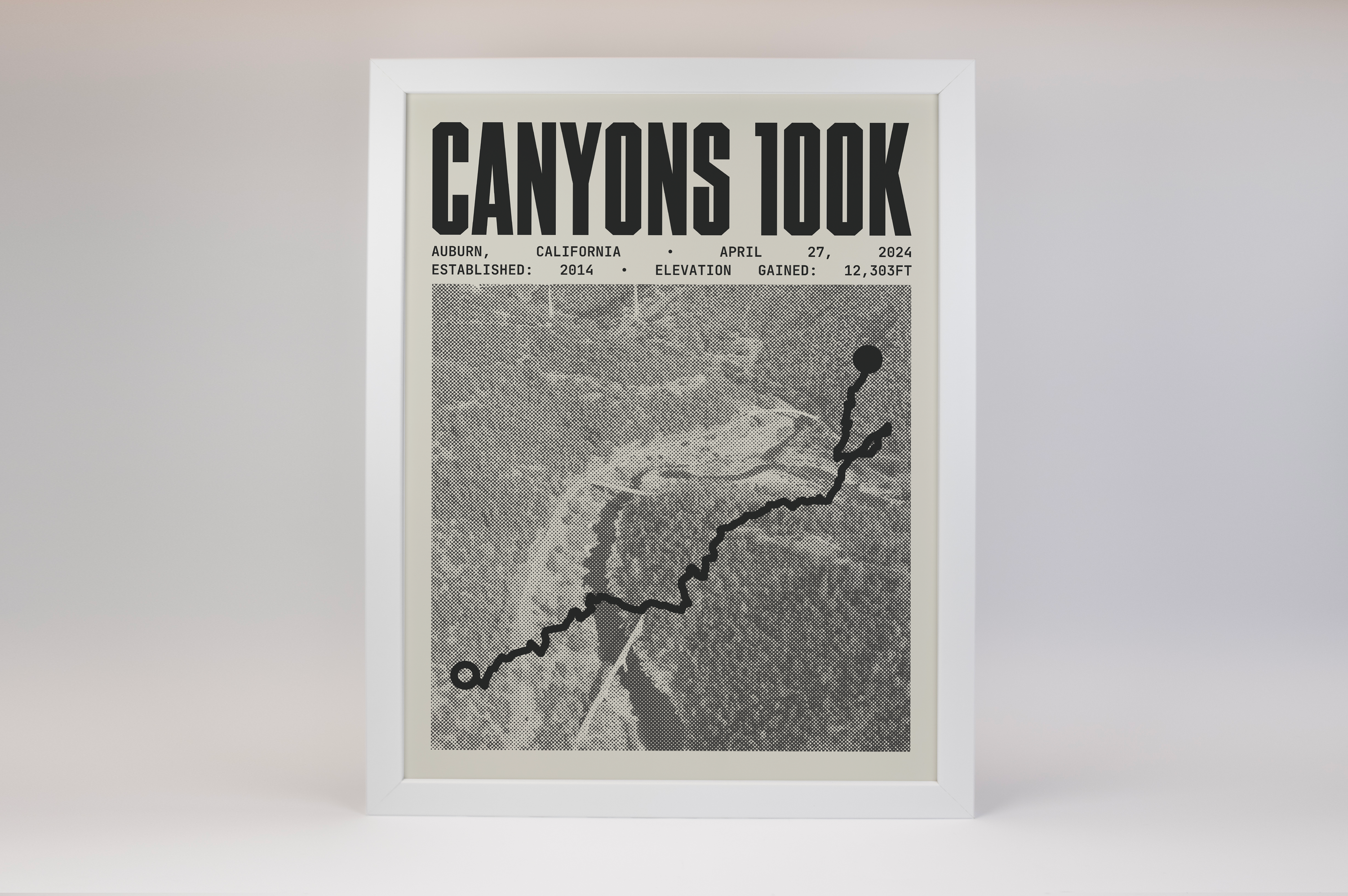 Canyons 100K Endurance Run Poster