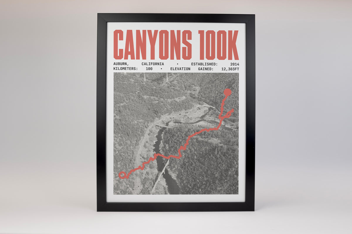 Canyons 100K Endurance Run Poster