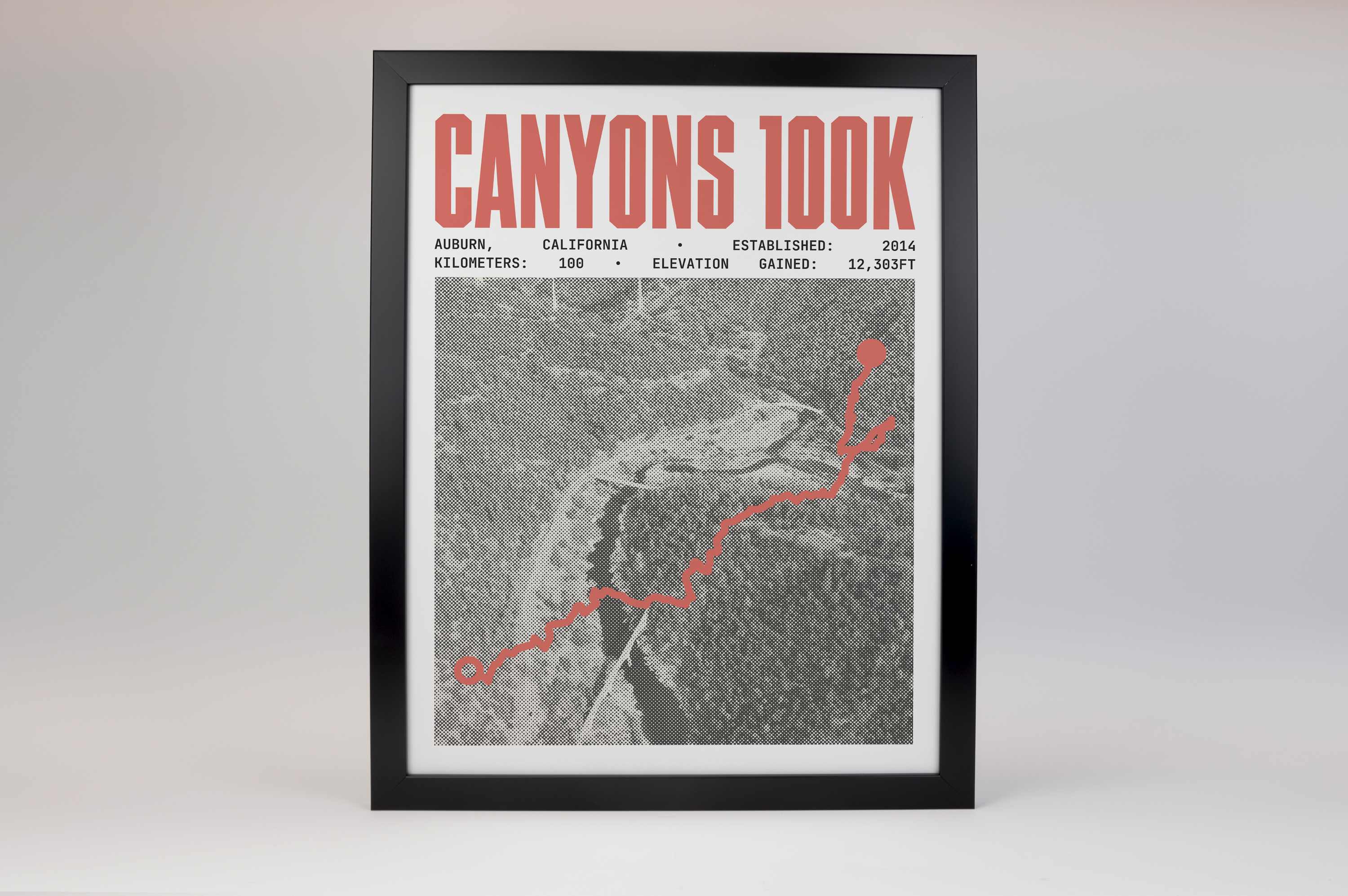Canyons 100K Endurance Run Poster