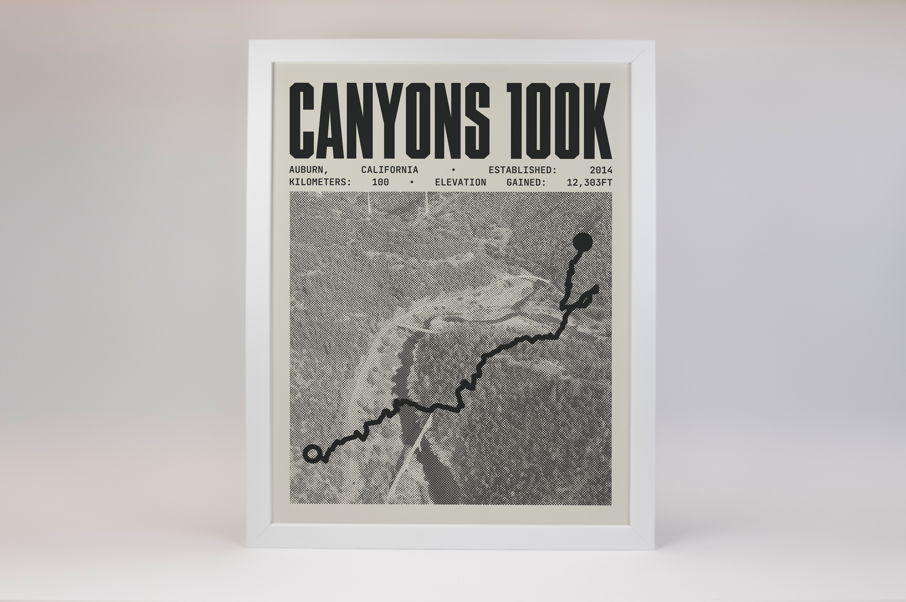 Canyons 100K Endurance Run Poster