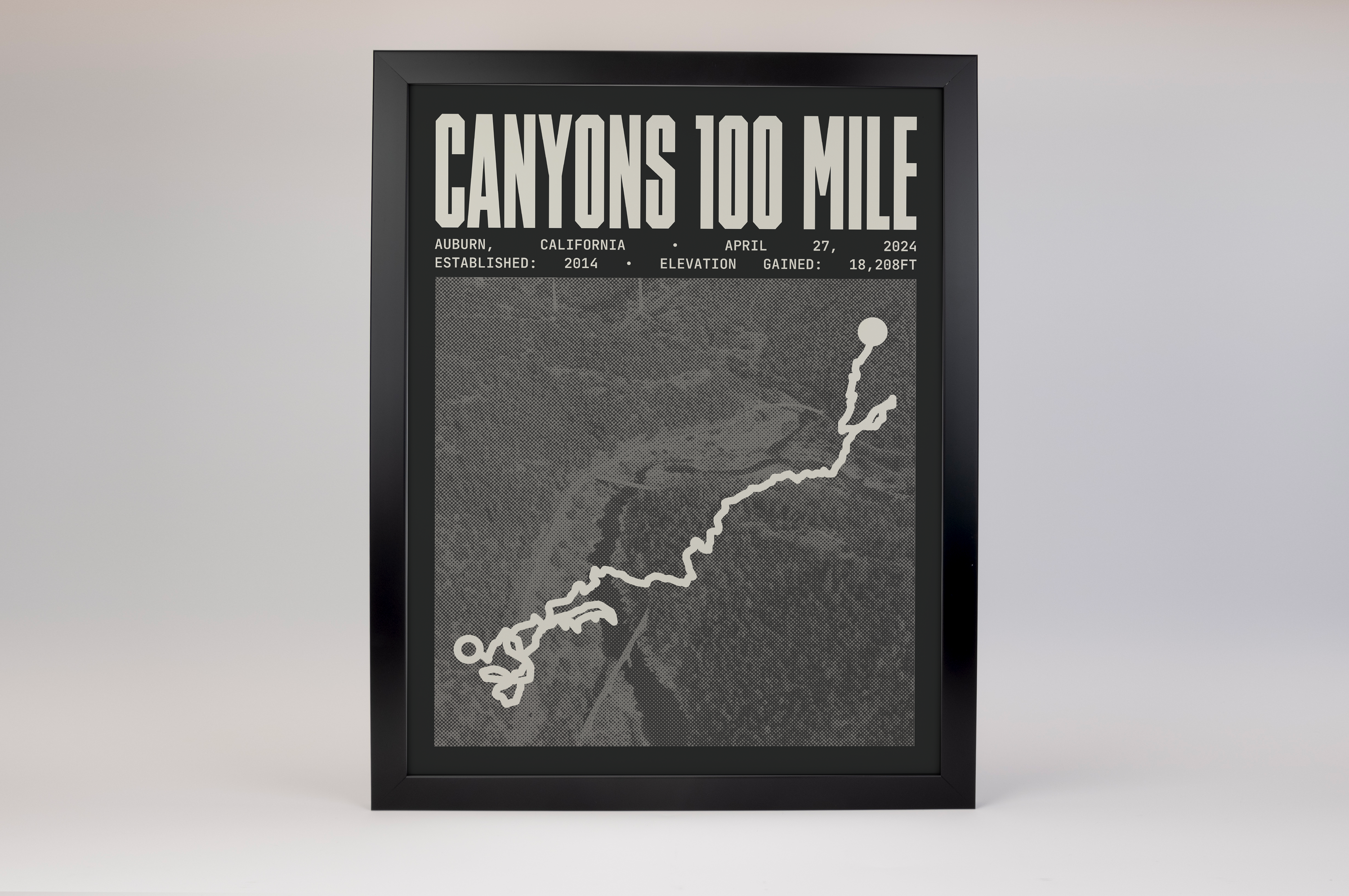 Canyons 100 Mile Endurance Run Poster