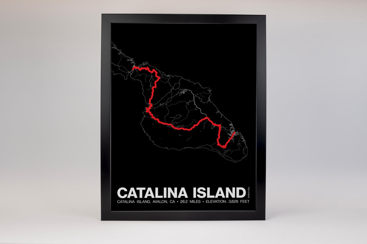 Catalina Island Marathon Poster - Grid Style