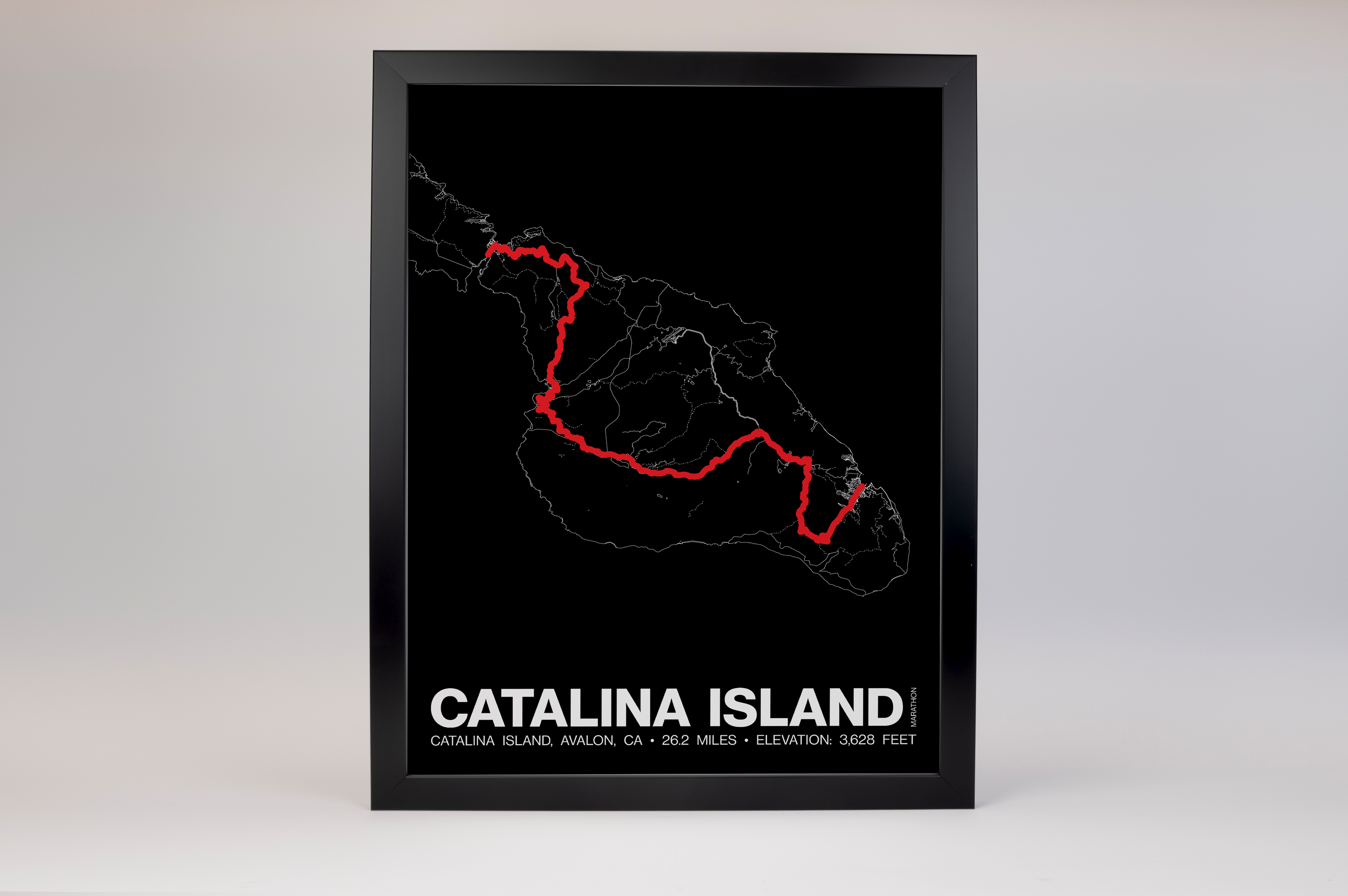 Catalina Island Marathon Poster - Grid Style