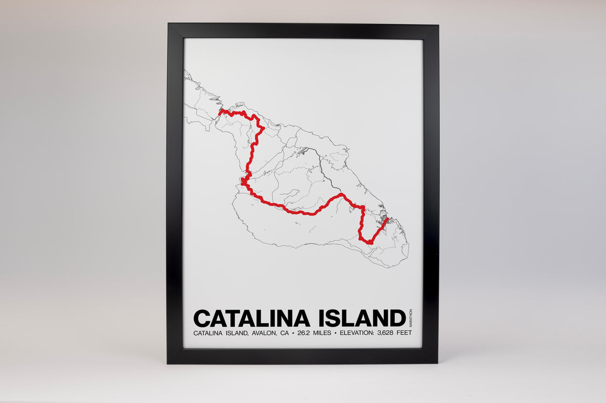 Catalina Island Marathon Poster - Grid Style