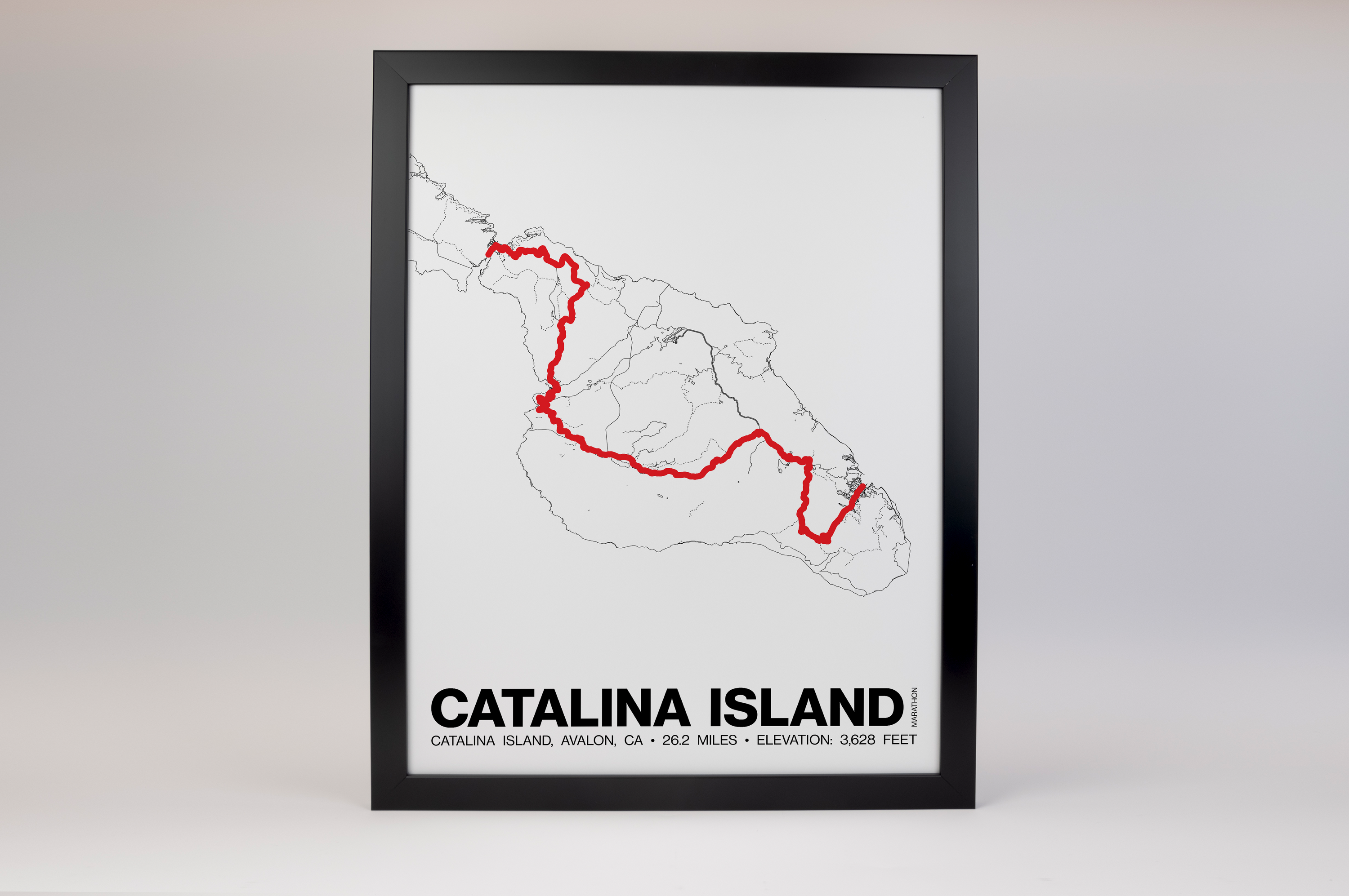 Catalina Island Marathon Poster - Grid Style