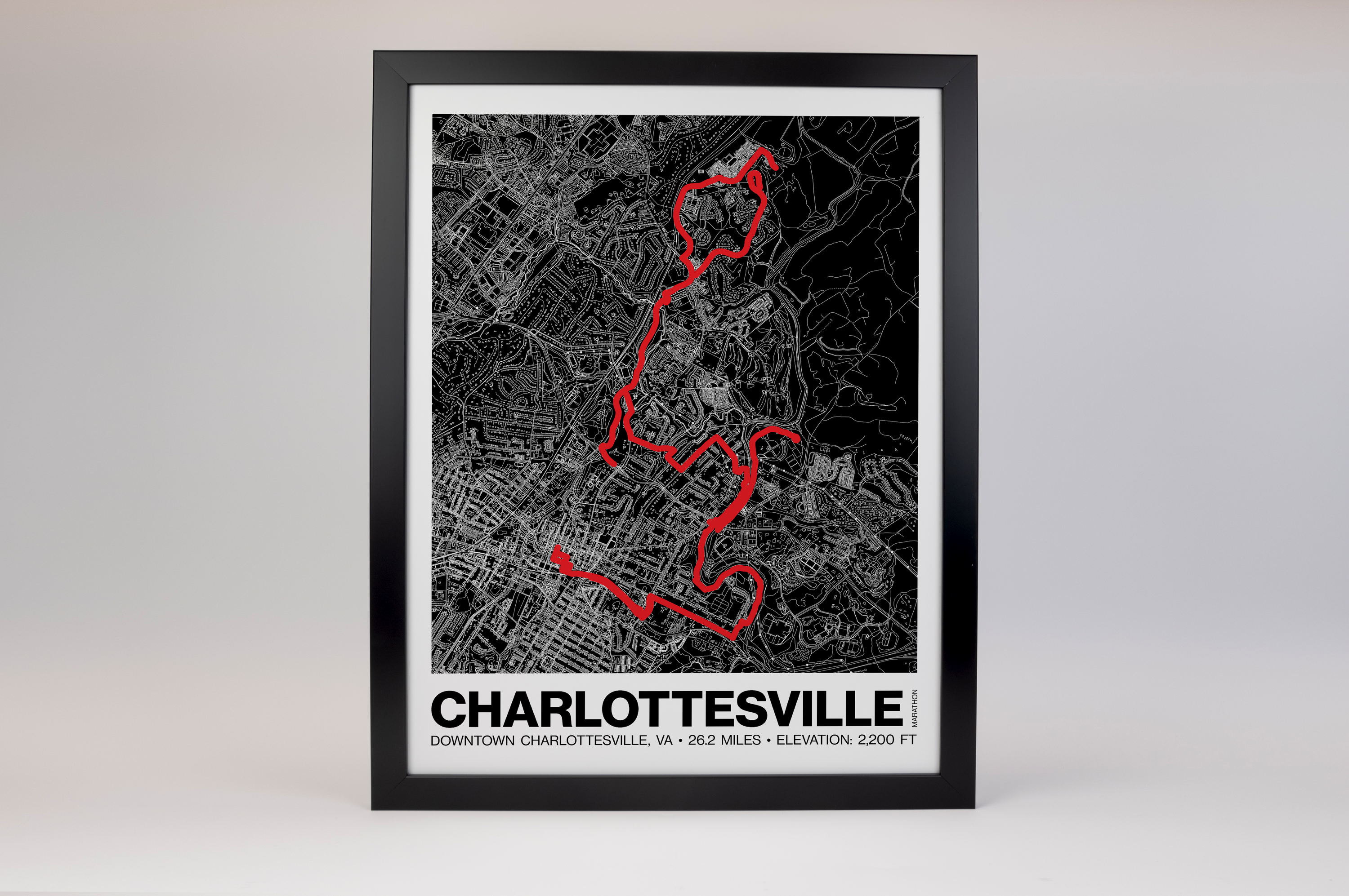 Charlottesville Marathon Poster - Grid Style