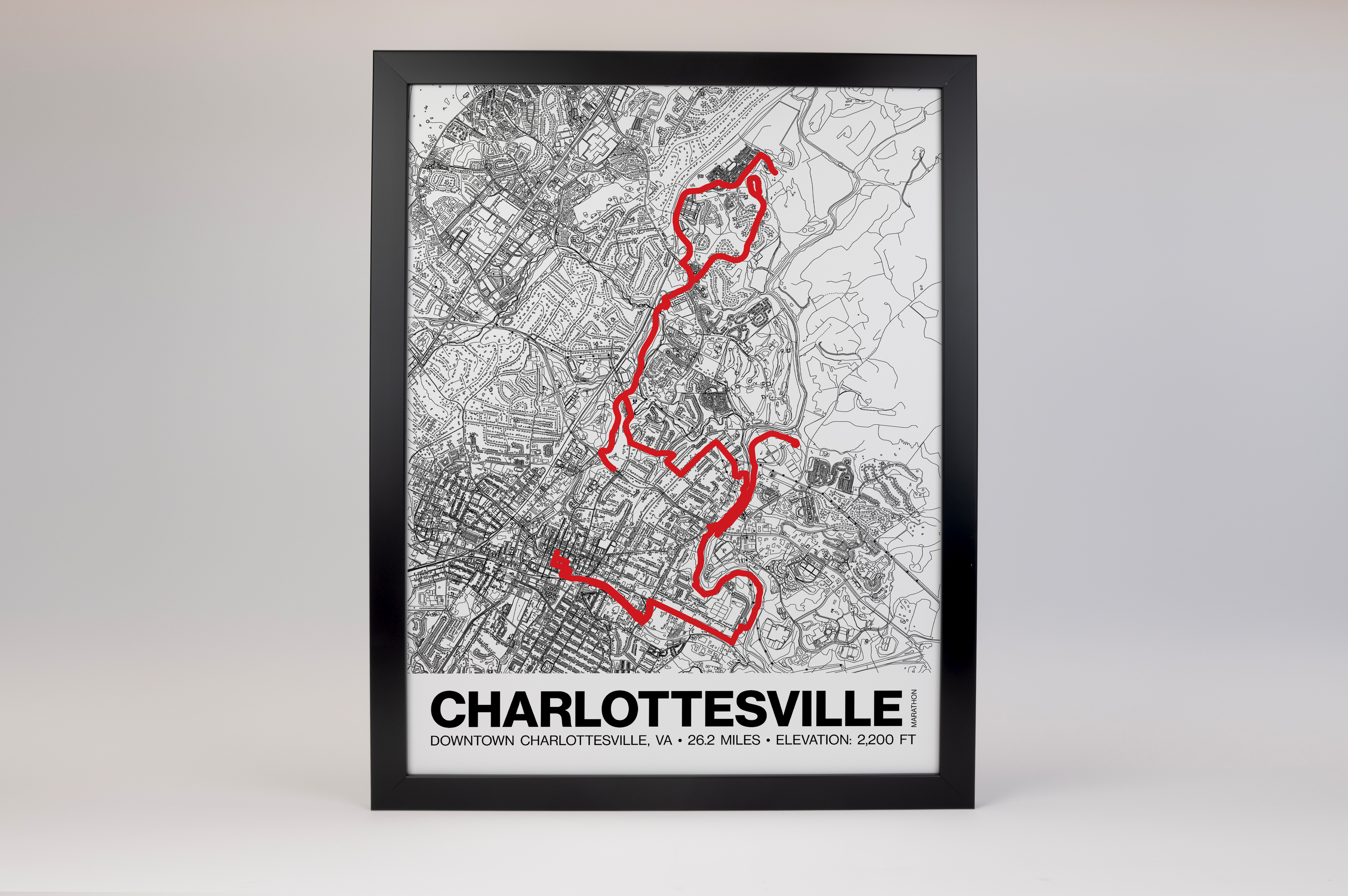 Charlottesville Marathon Poster - Grid Style