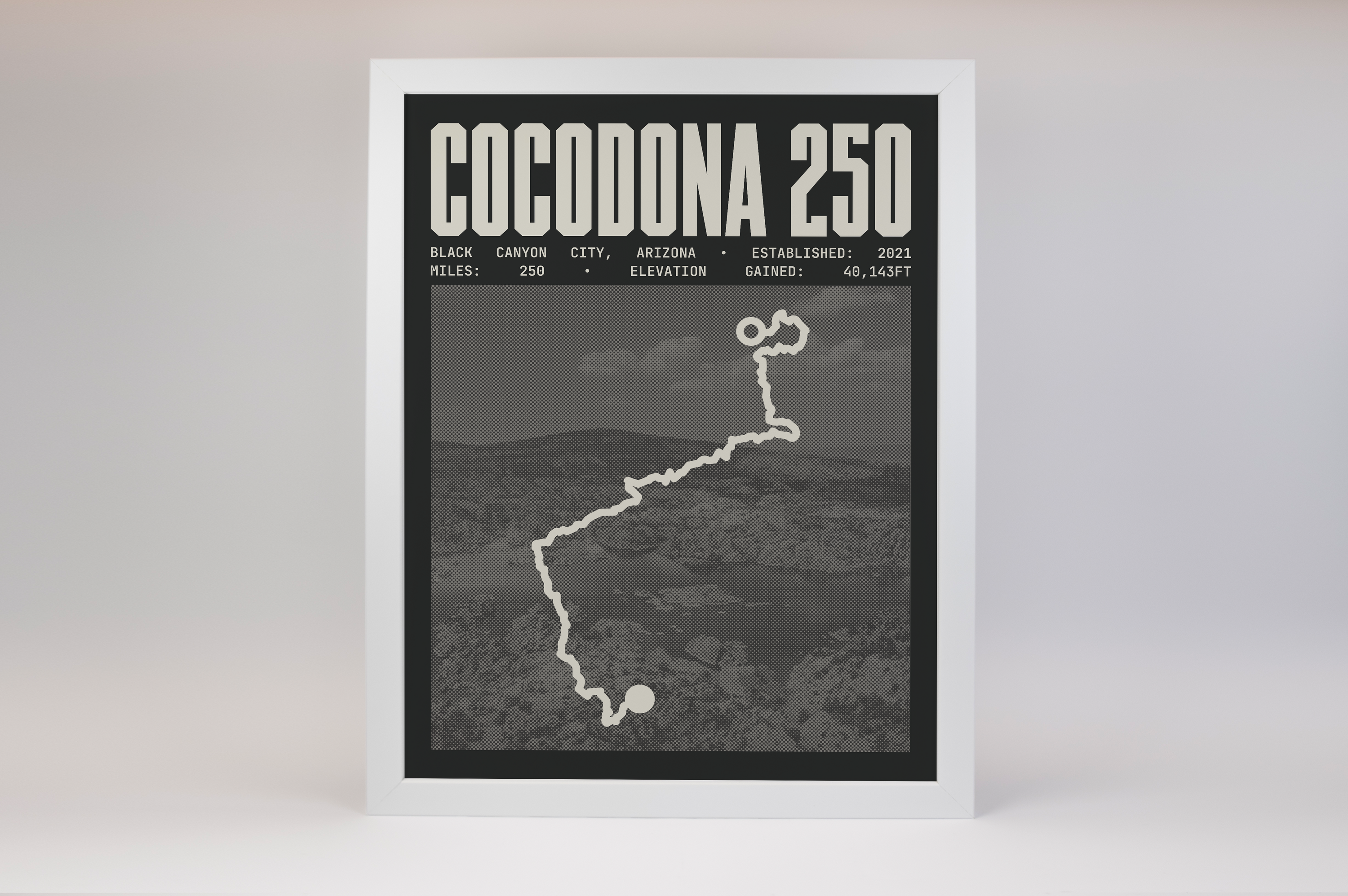 Cocodona 250 Endurance Run Poster