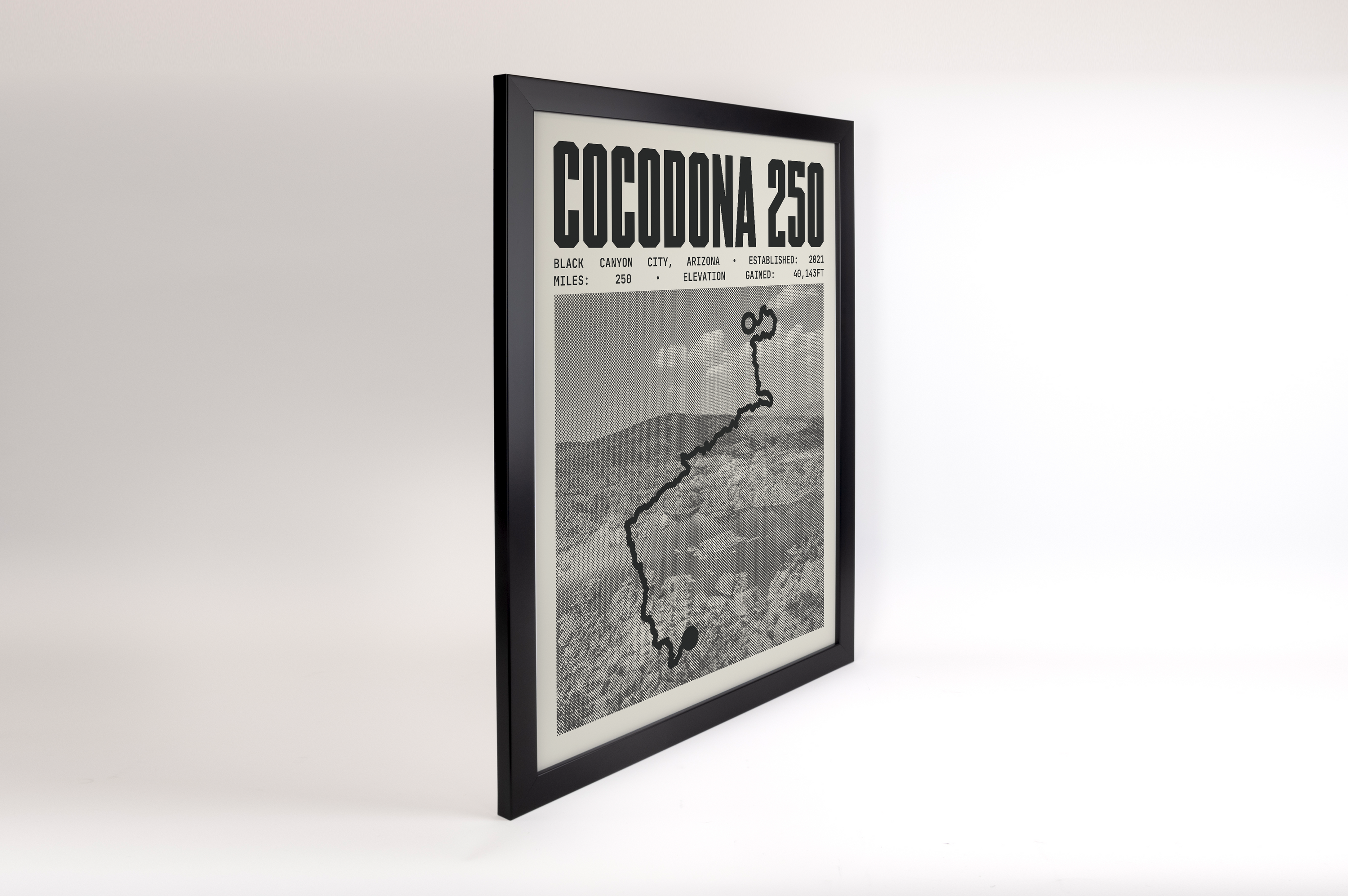 Cocodona 250 Endurance Run Poster