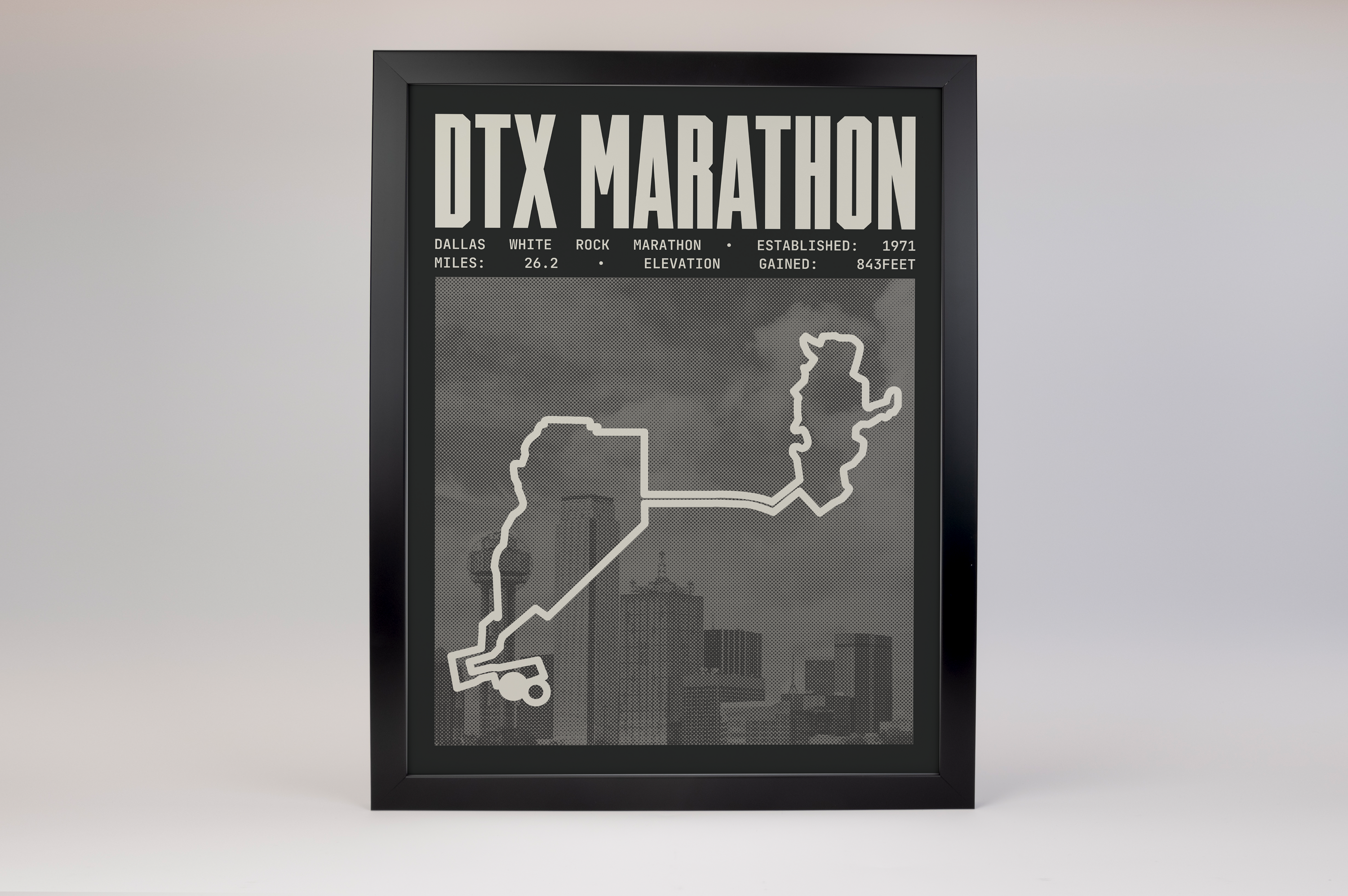 Dallas White Rock Marathon Poster