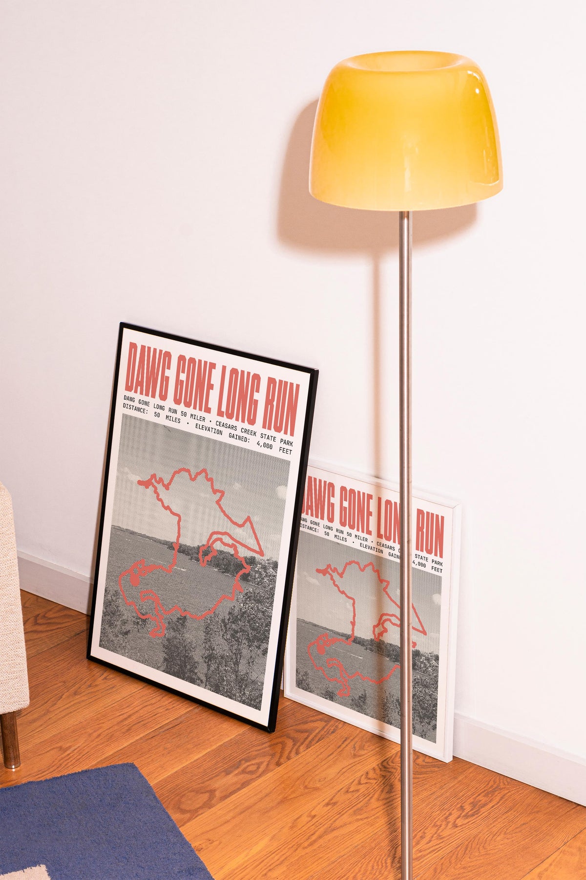 Dawg Gone Long Run 50 Miler Poster