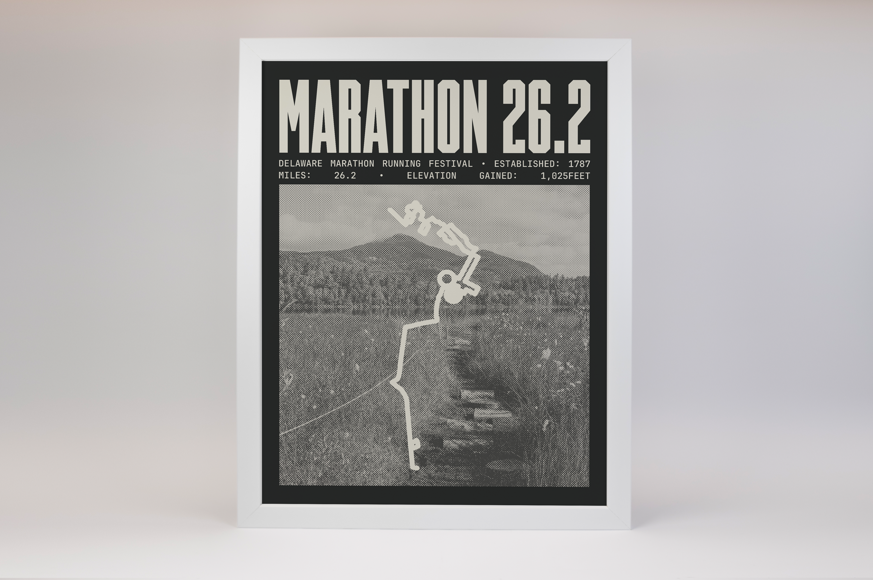 Delaware Marathon Running Festival Poster