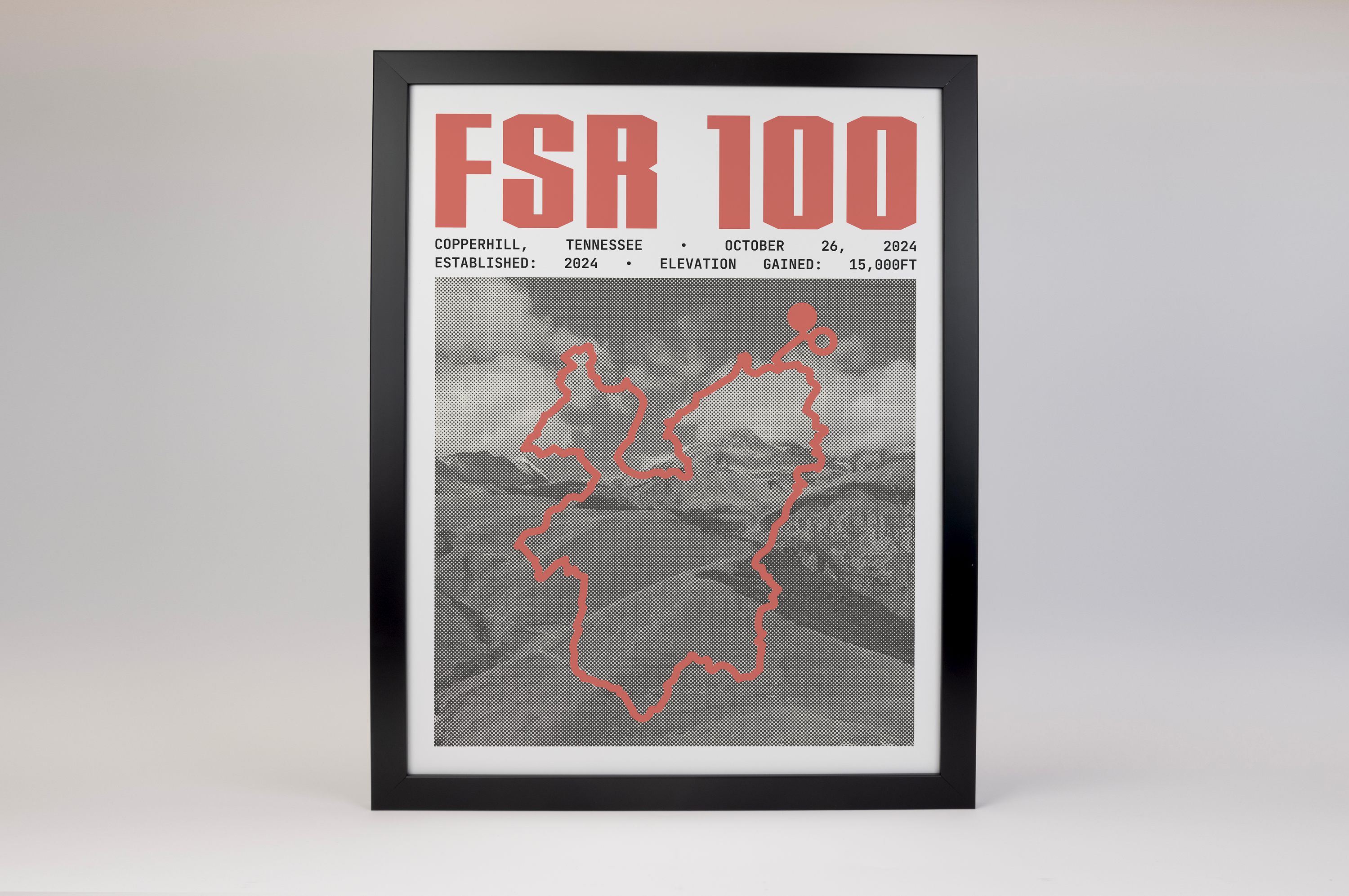 FSR 100 Endurance Run Poster