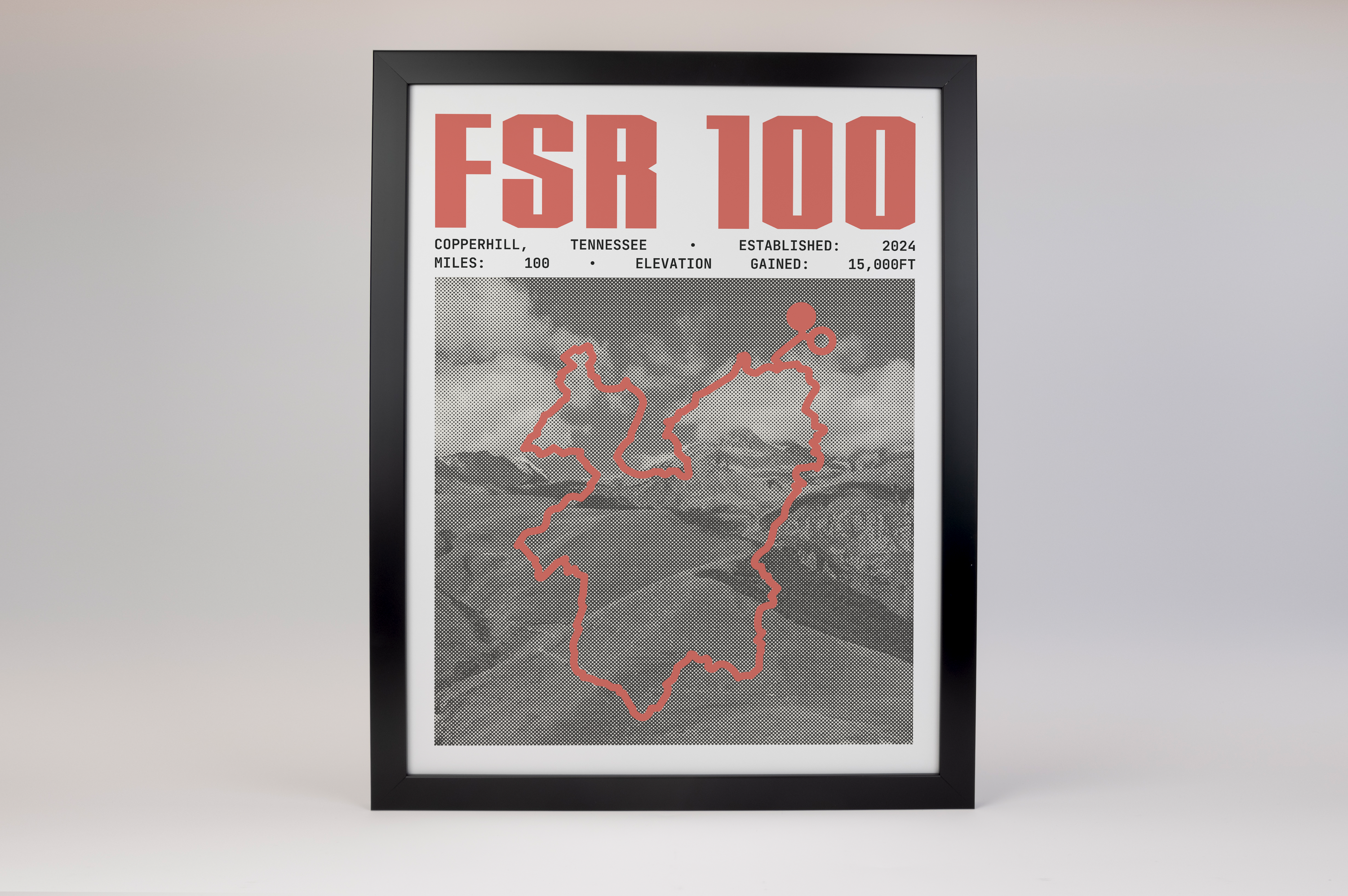 FSR 100 Endurance Run Poster