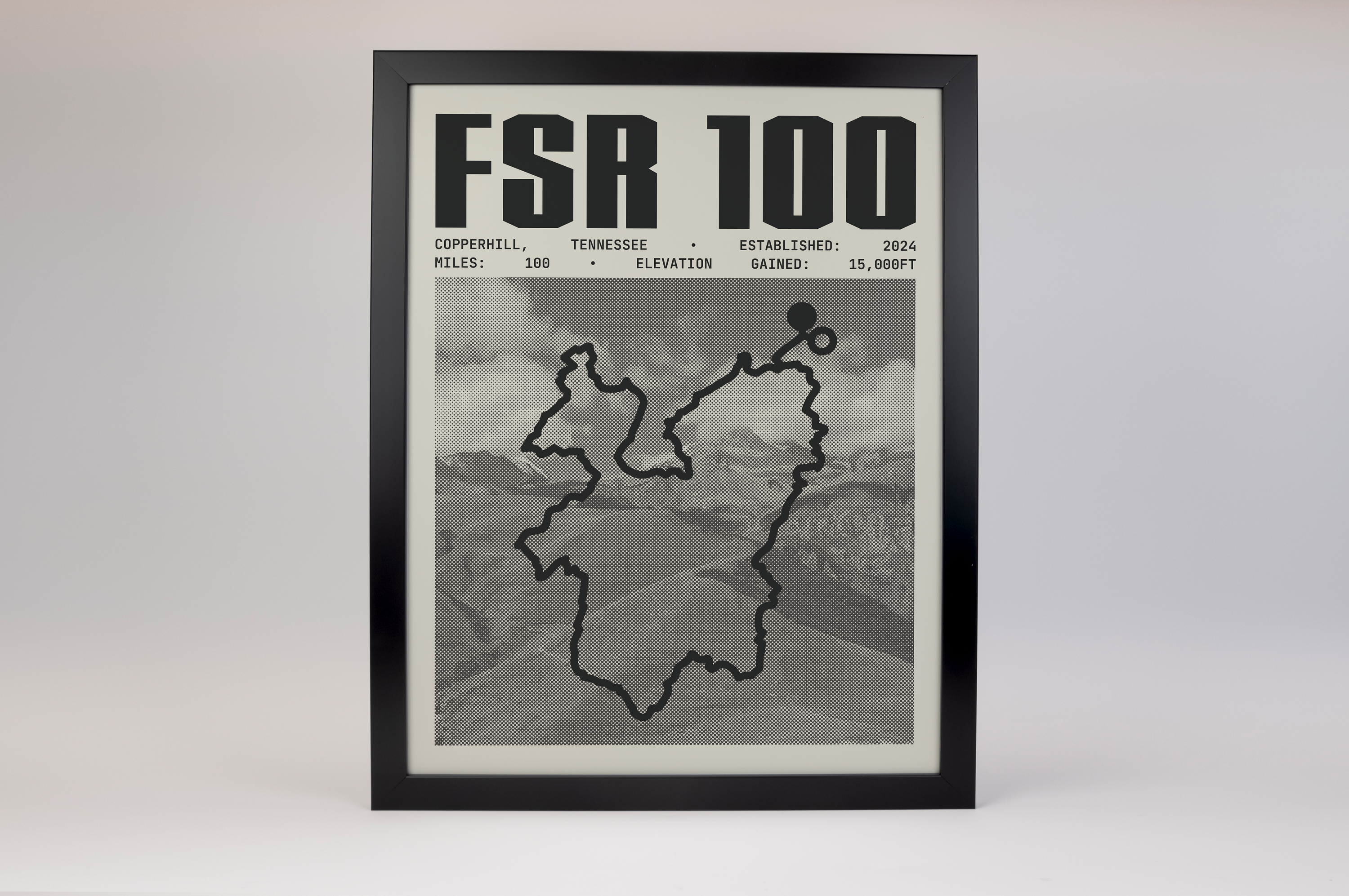 FSR 100 Endurance Run Poster