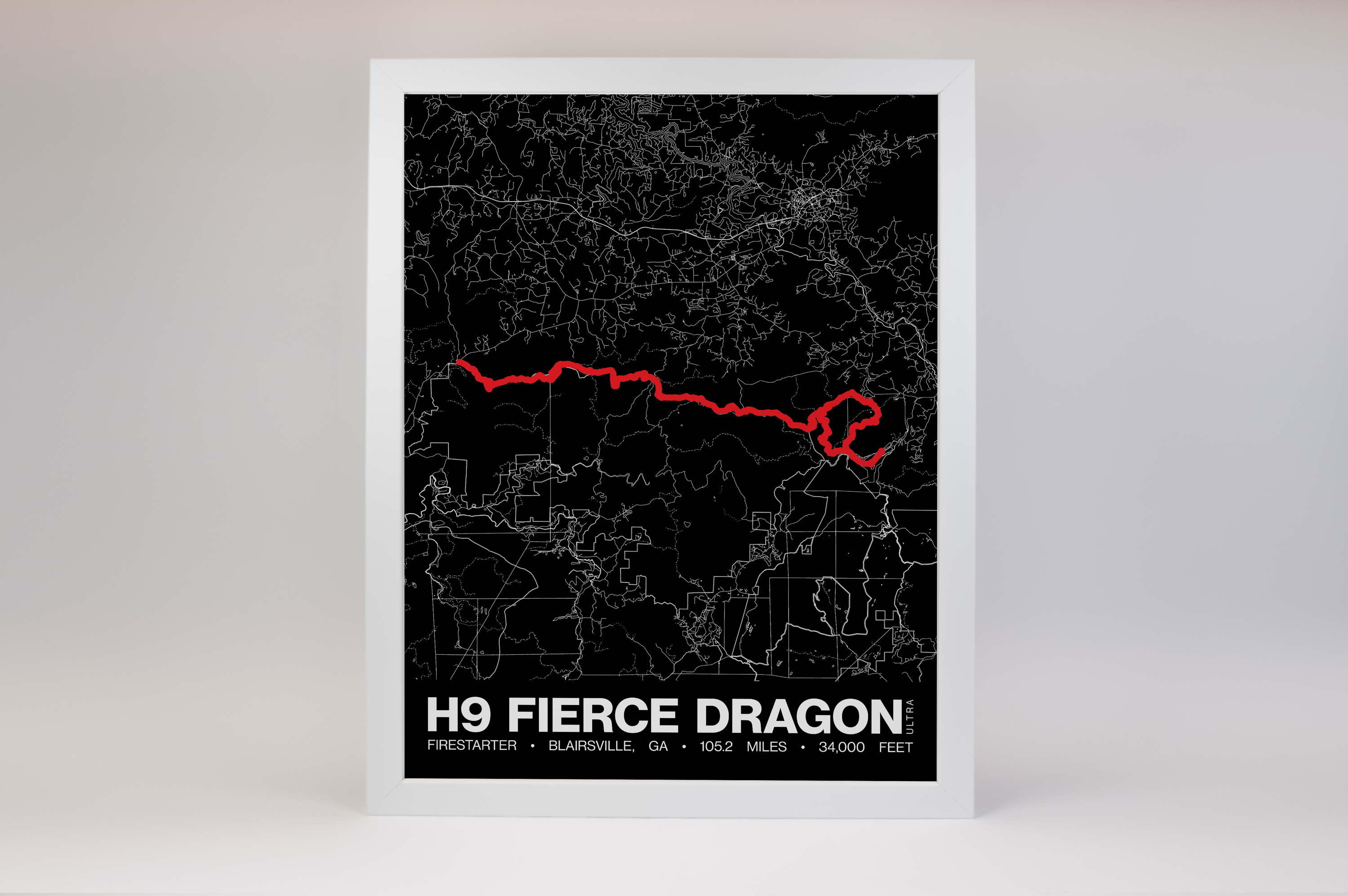H9 Fierce Dragon (Firestarter) Poster - Grid Style