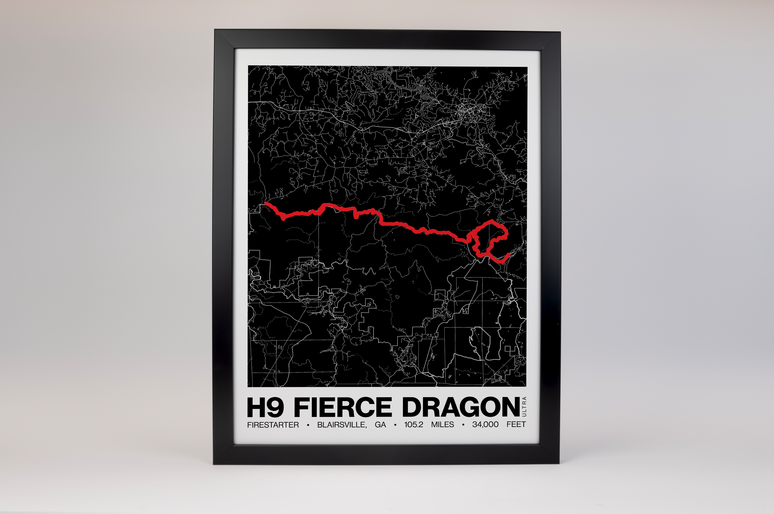 H9 Fierce Dragon (Firestarter) Poster - Grid Style