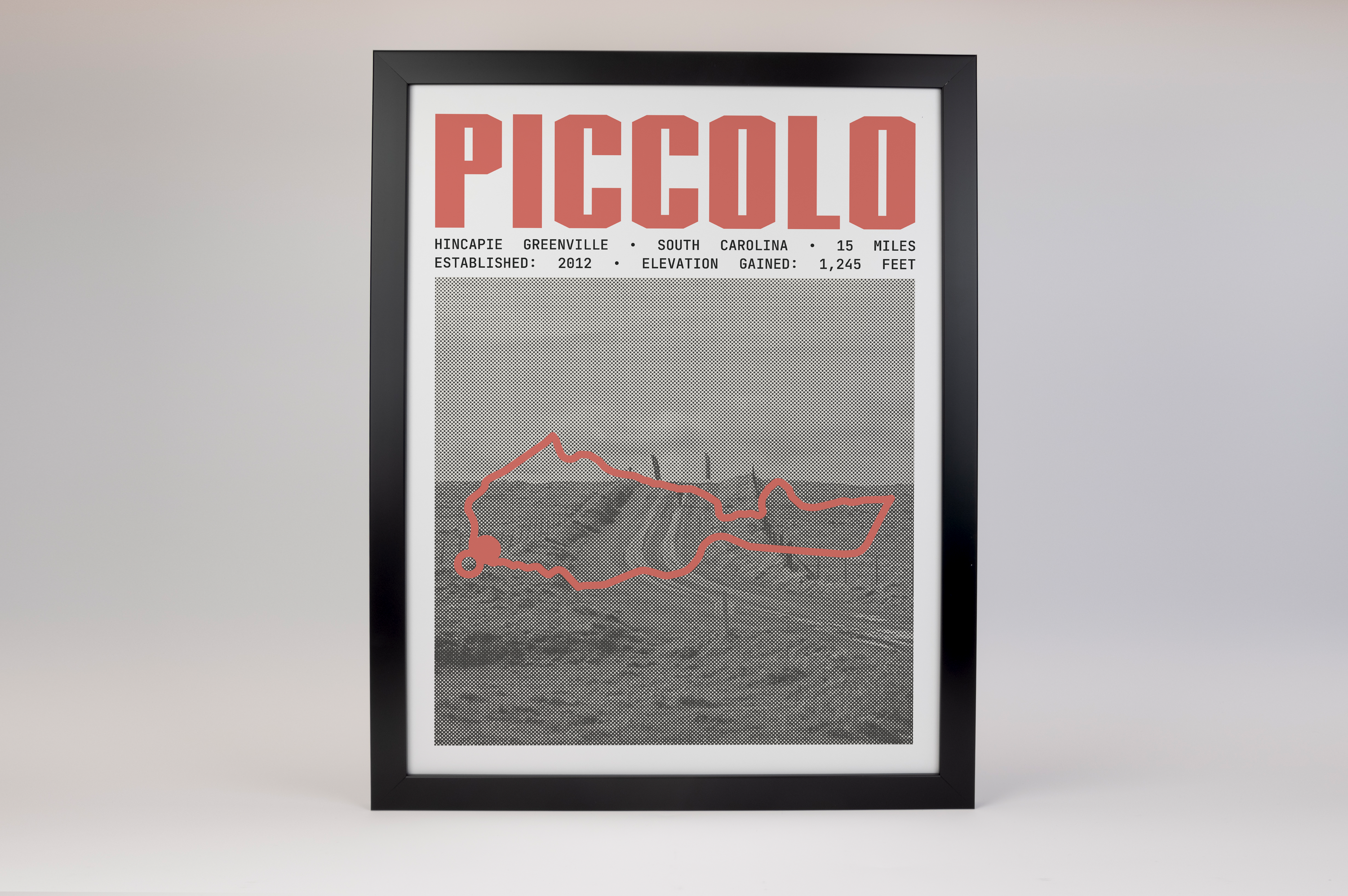 Gran Fondo Hincapie Greenville - Piccolo Poster