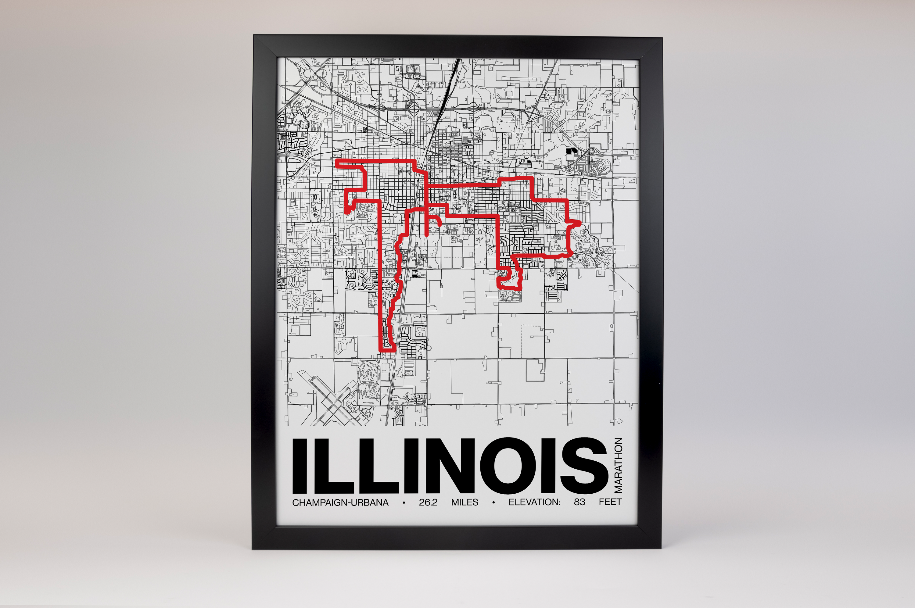 Illinois Marathon Poster - Grid Style