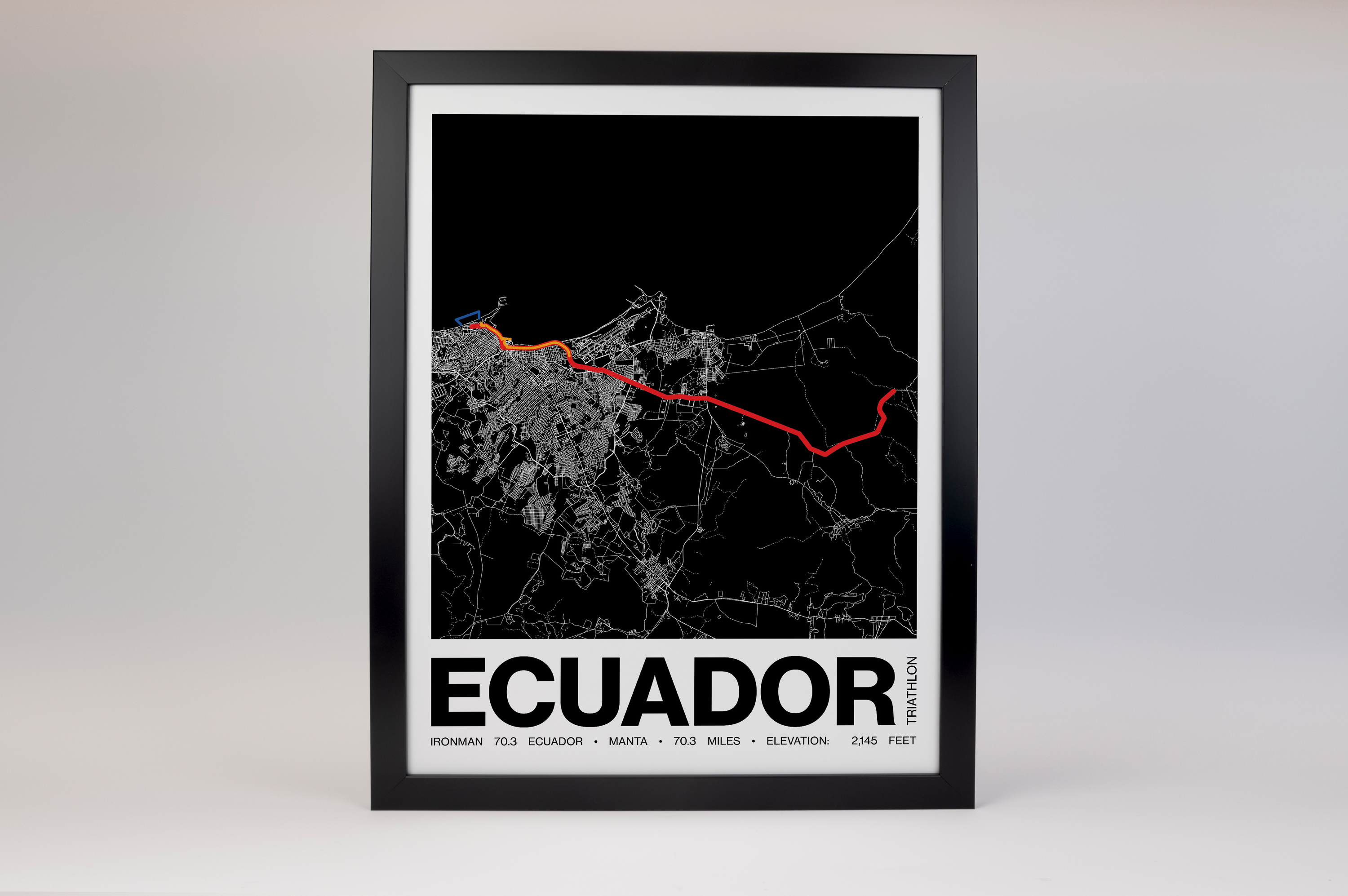 Ironman 70.3 Ecuador Poster - Grid Style
