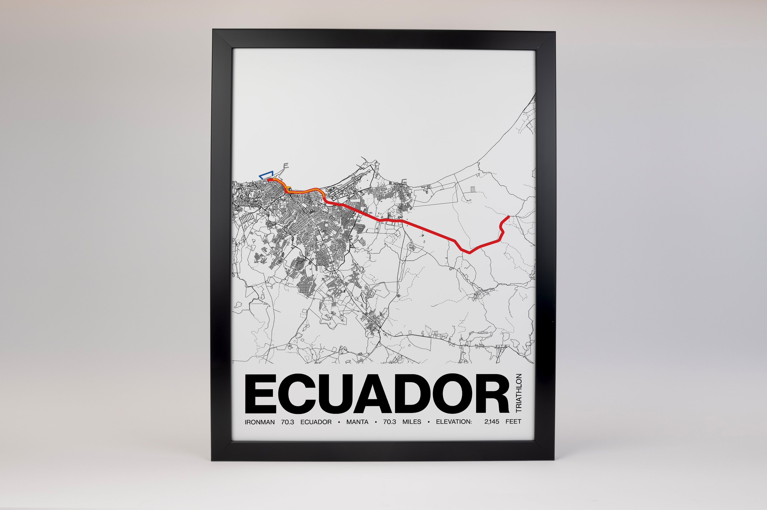 Ironman 70.3 Ecuador Poster - Grid Style