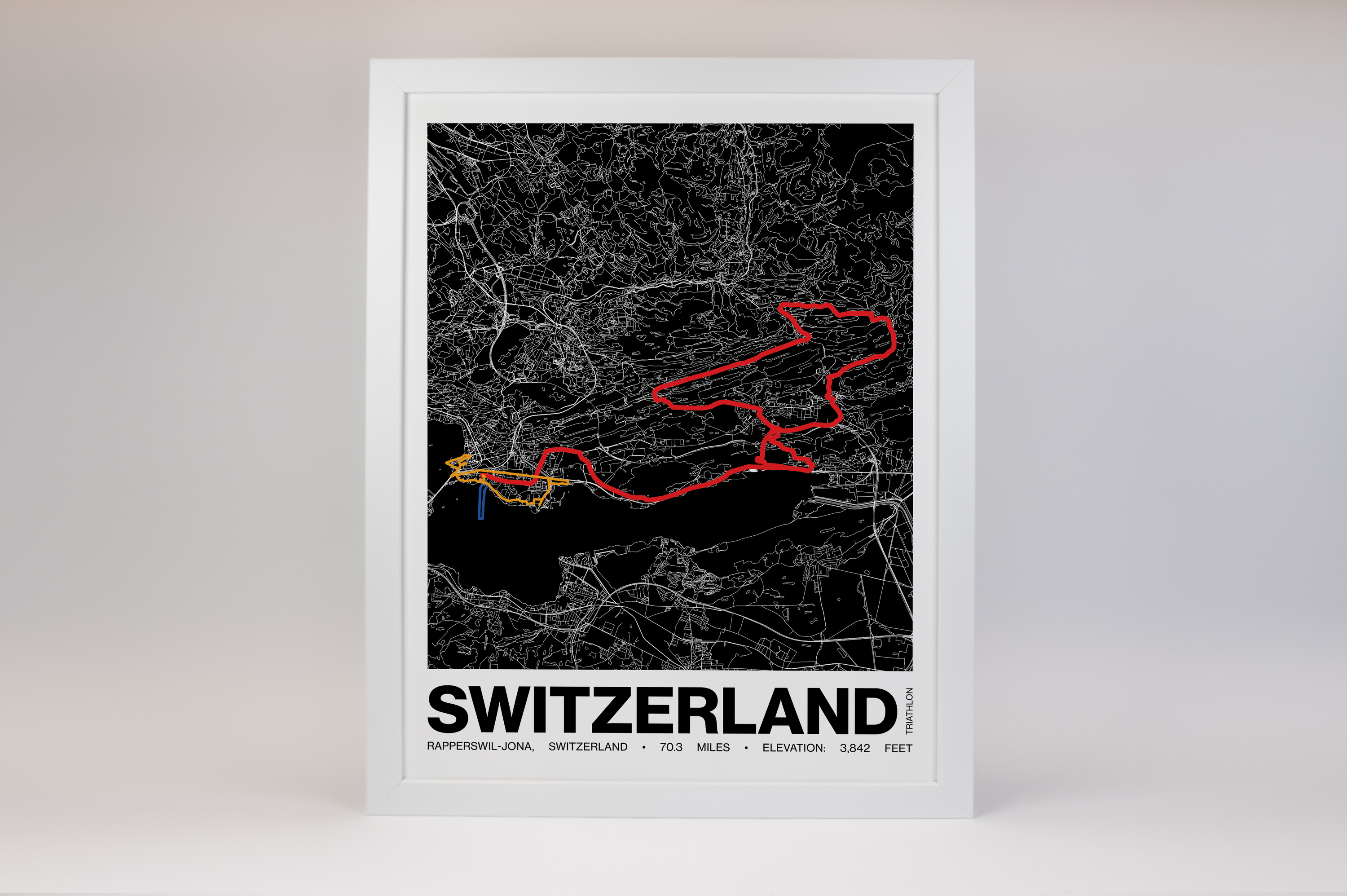 Ironman 70.3 Switzerland Poster - Grid Style