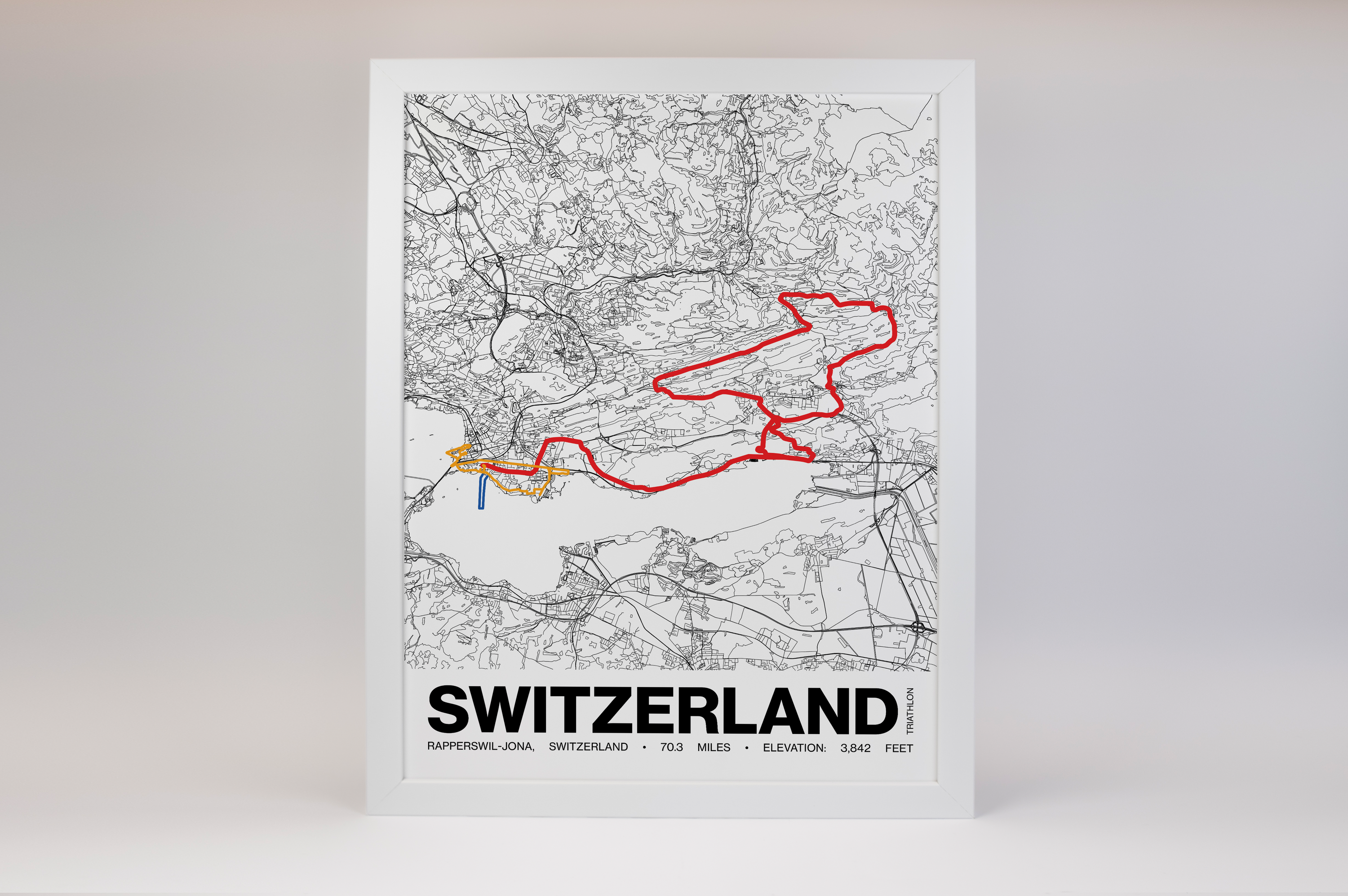 Ironman 70.3 Switzerland Poster - Grid Style