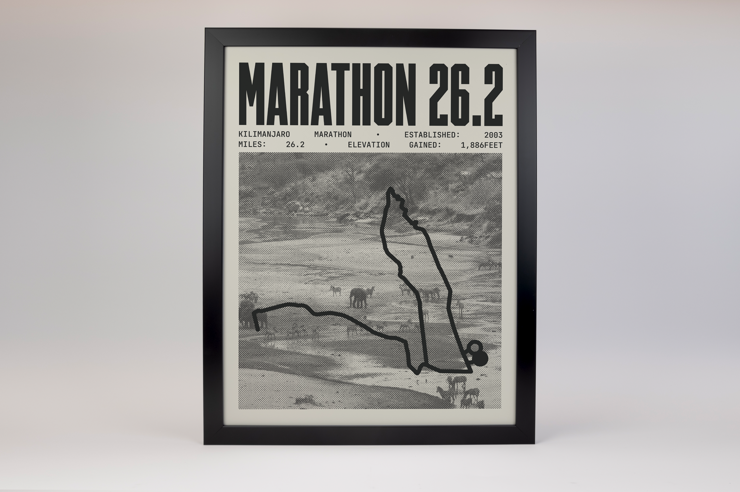 Kilimanjaro Marathon Poster
