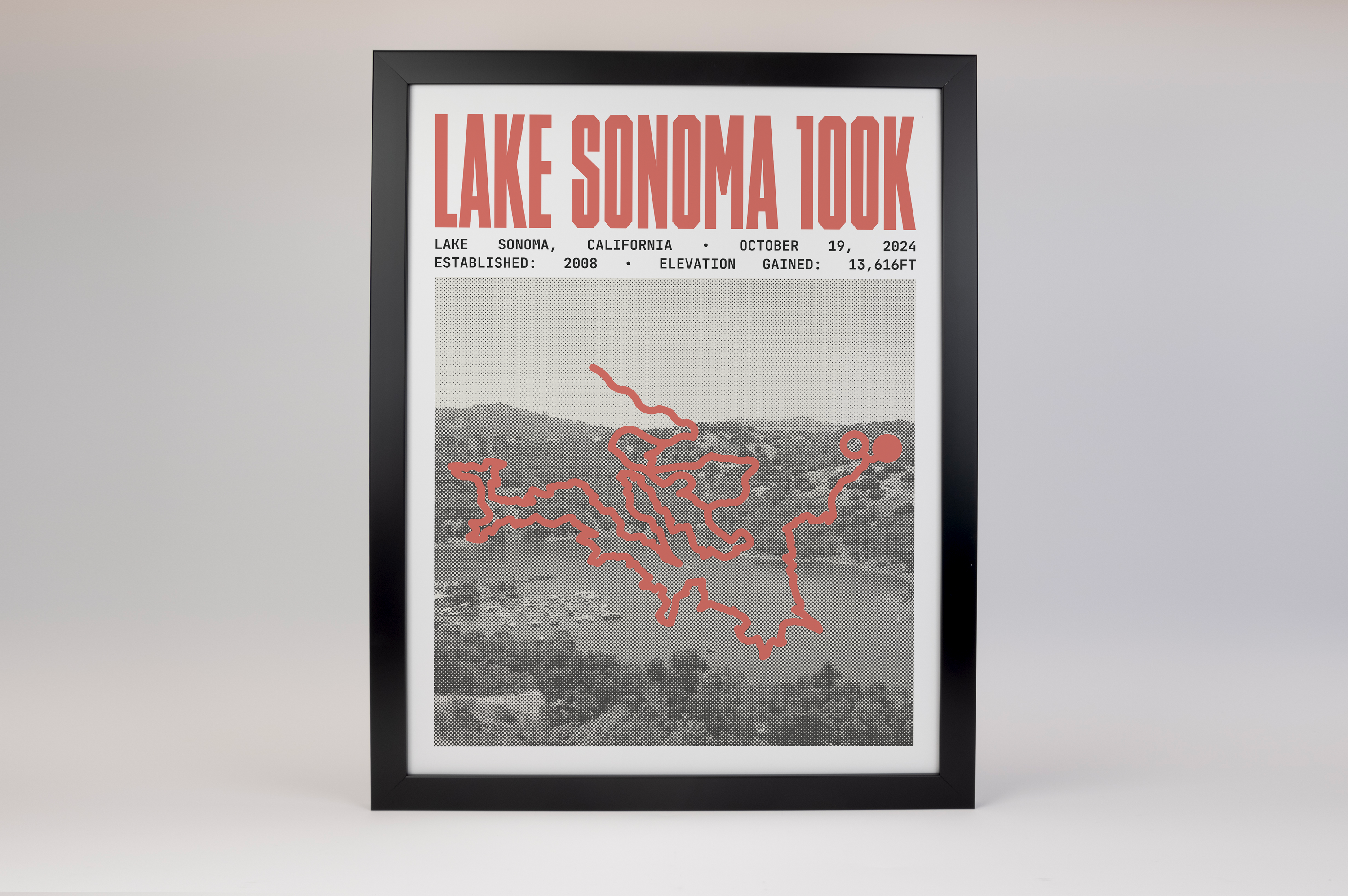 Lake Sonoma 100 Endurance Run Poster