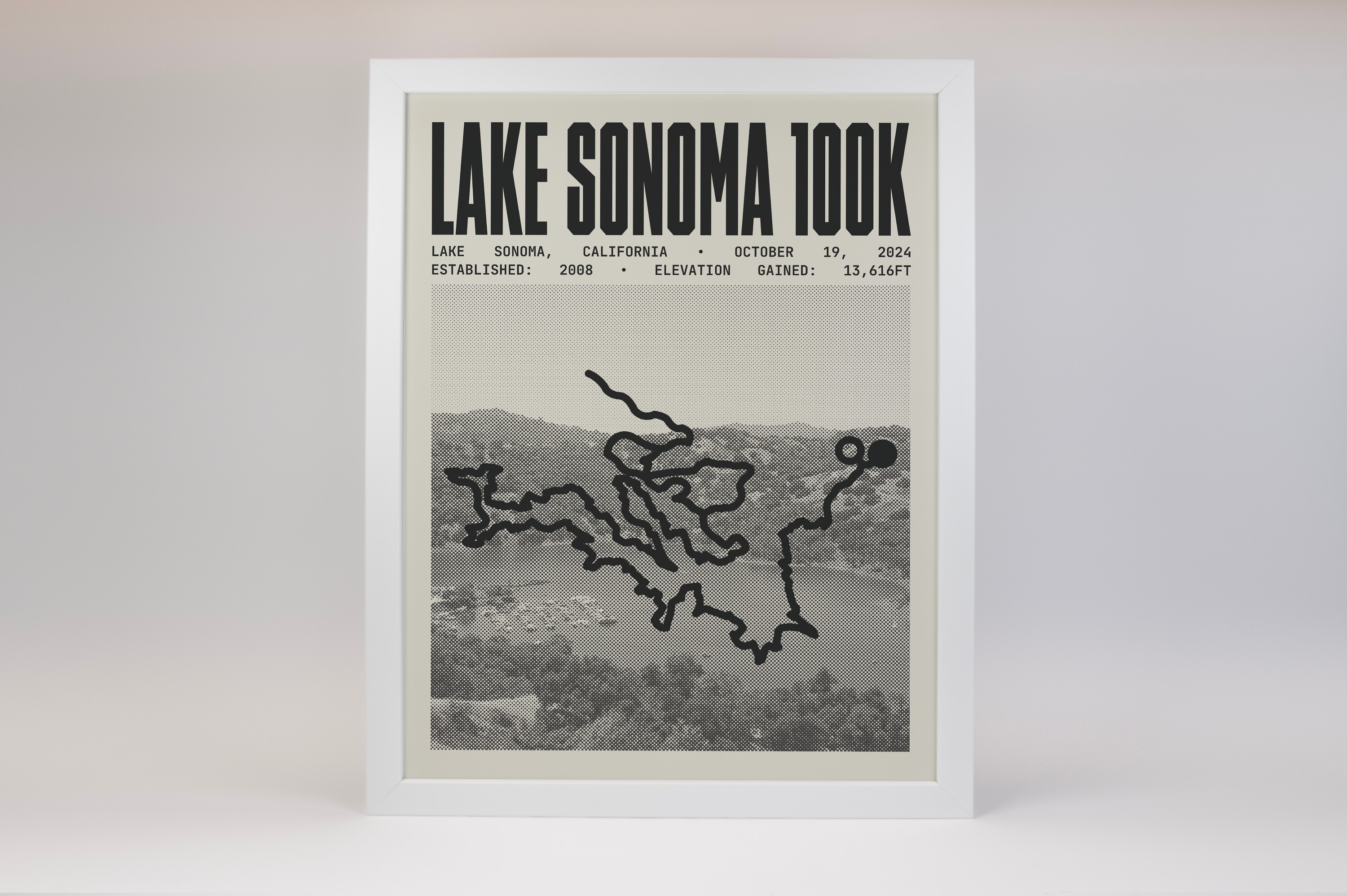 Lake Sonoma 100 Endurance Run Poster