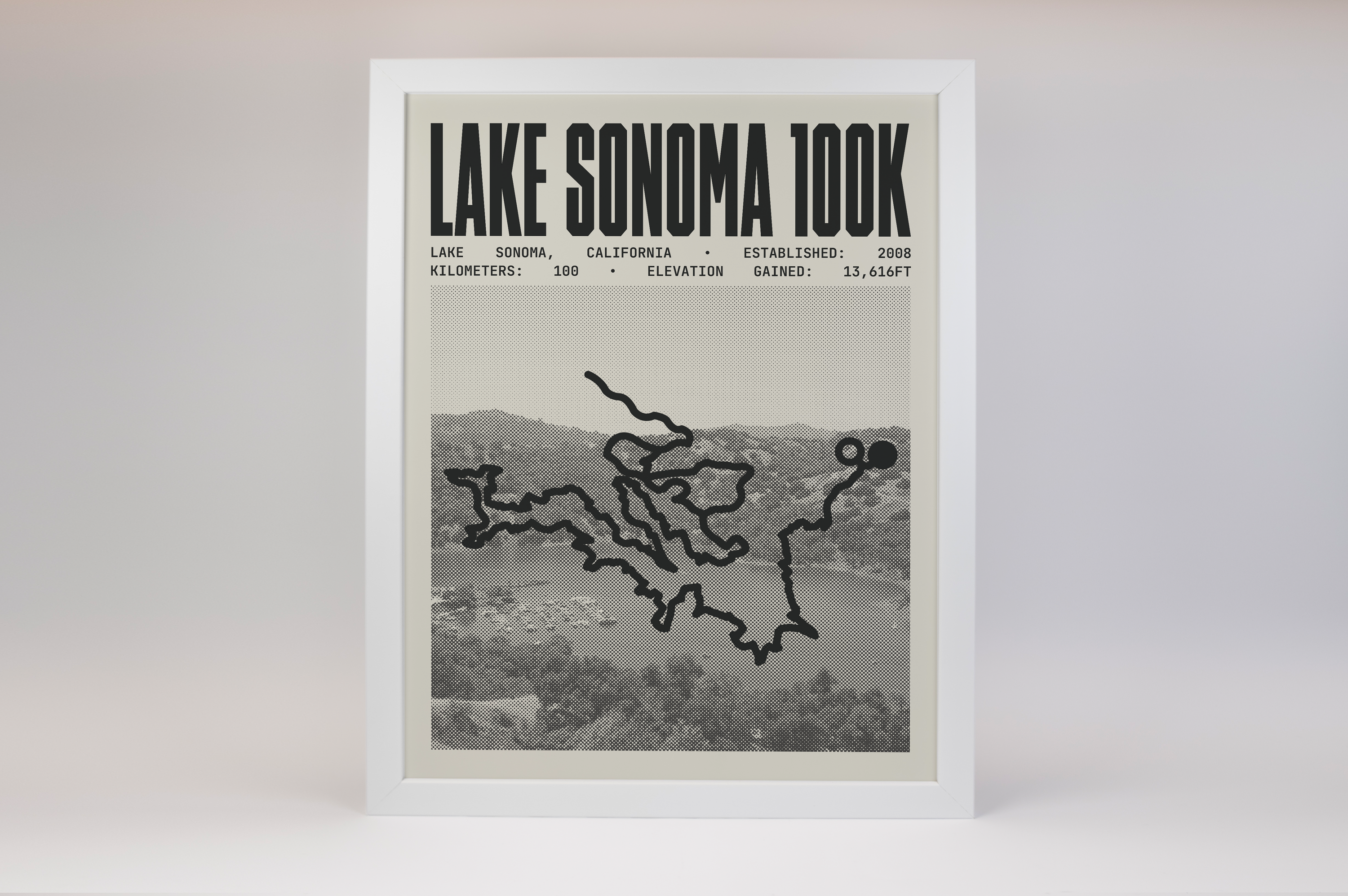 Lake Sonoma 100 Endurance Run Poster