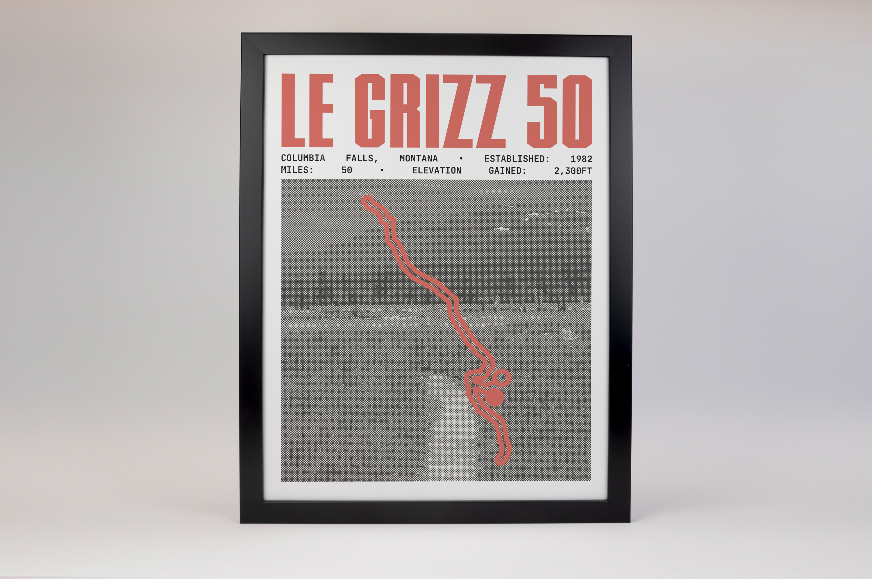 Le Grizz 50 Endurance Run Poster