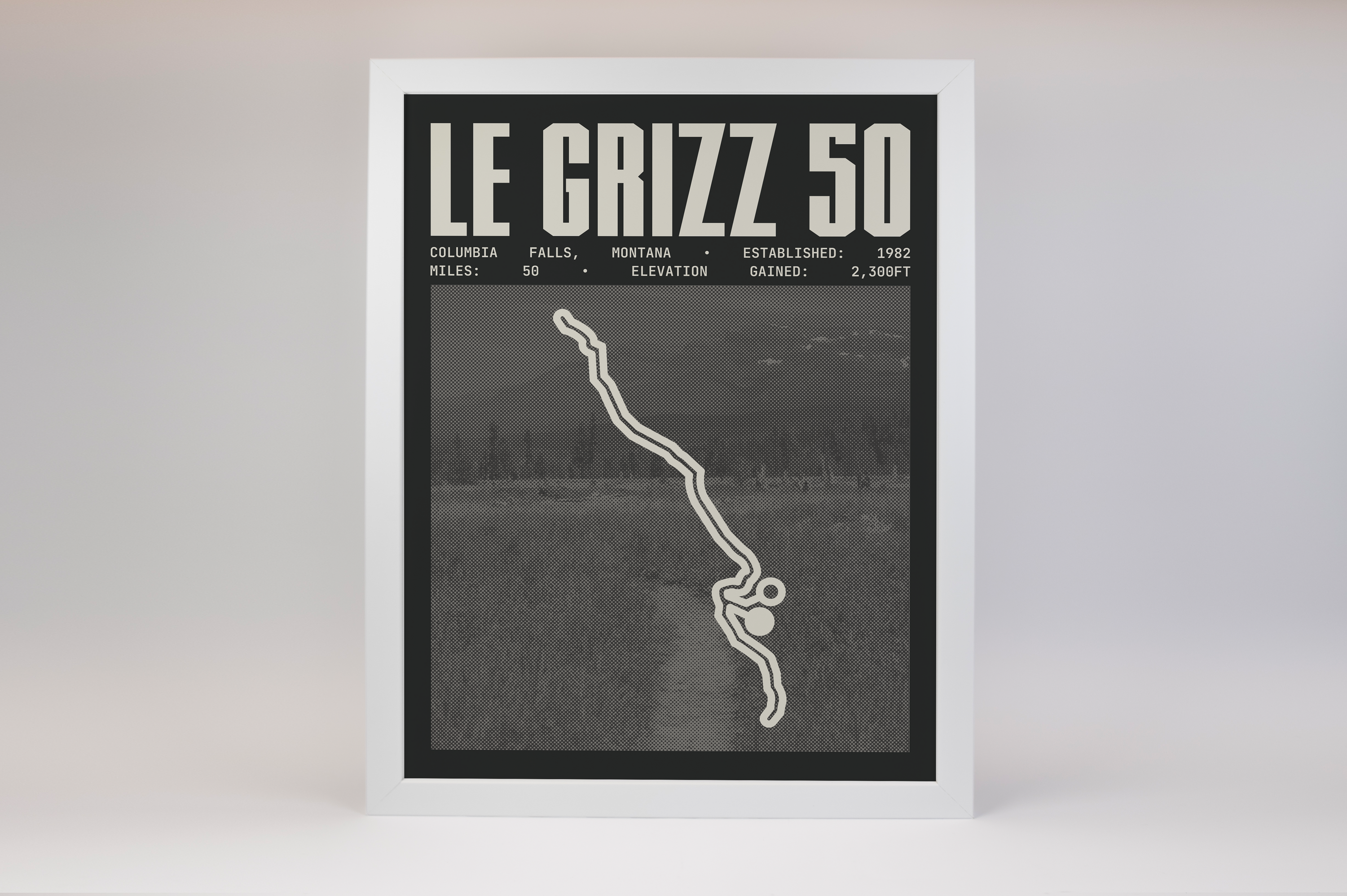 Le Grizz 50 Endurance Run Poster