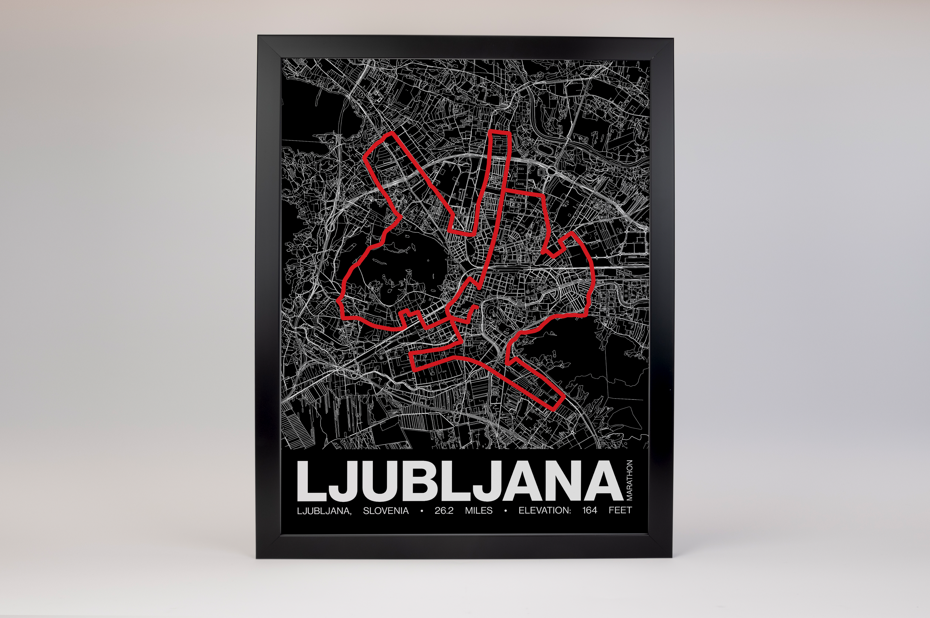 Ljubljana Marathon Poster - Grid Style