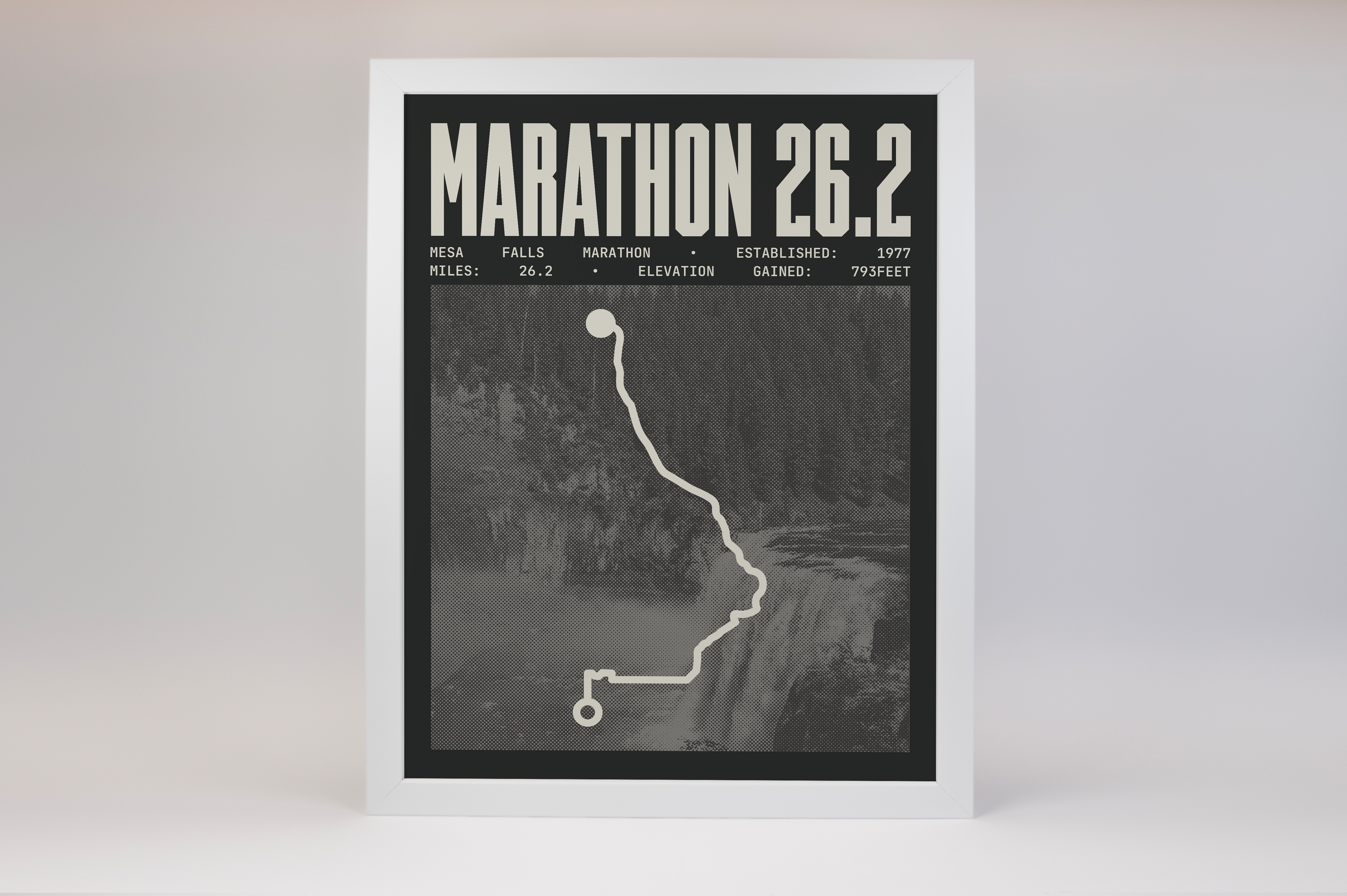 Mesa Falls Marathon Poster
