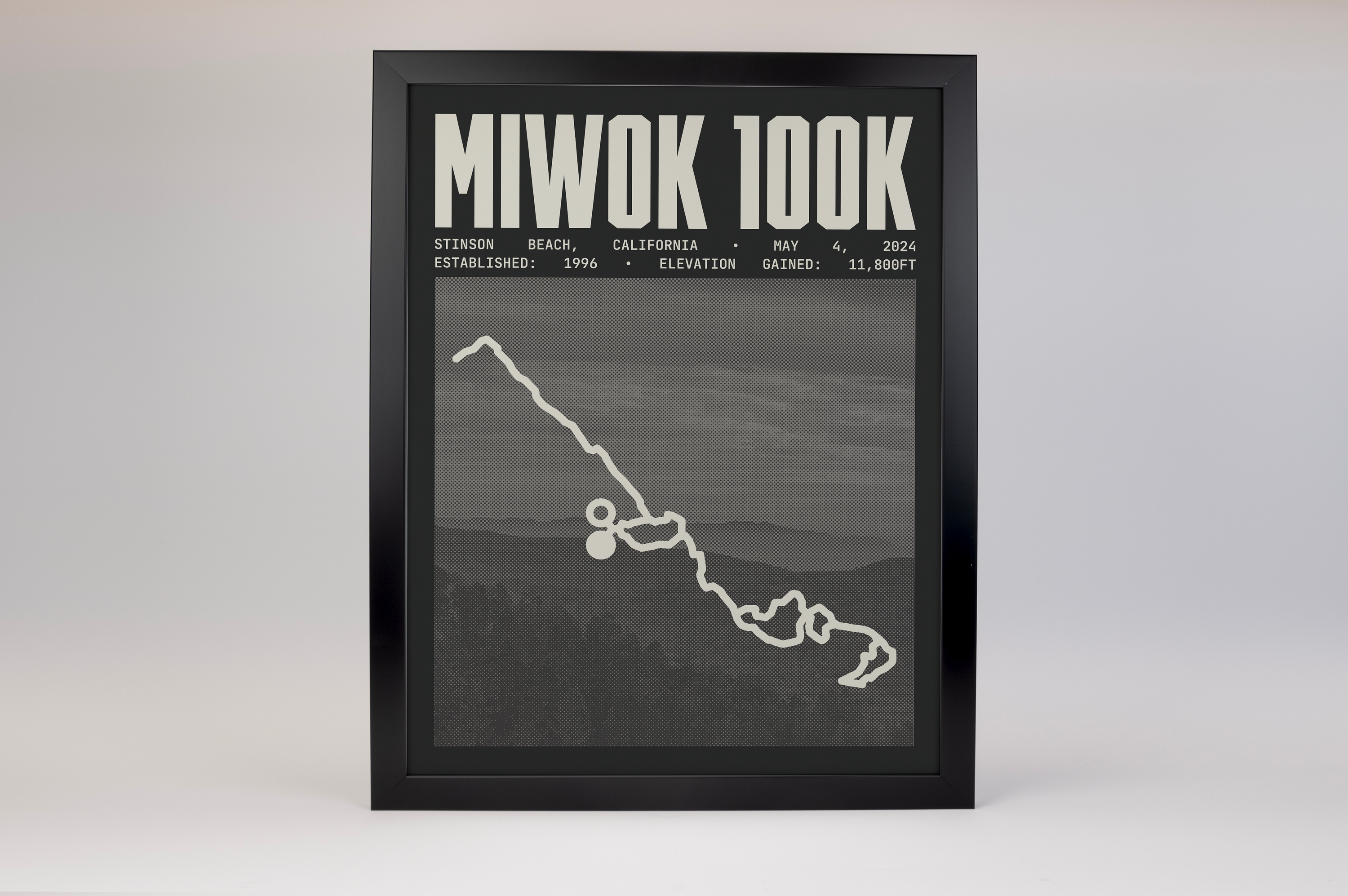 Miwok 100 Endurance Run Poster