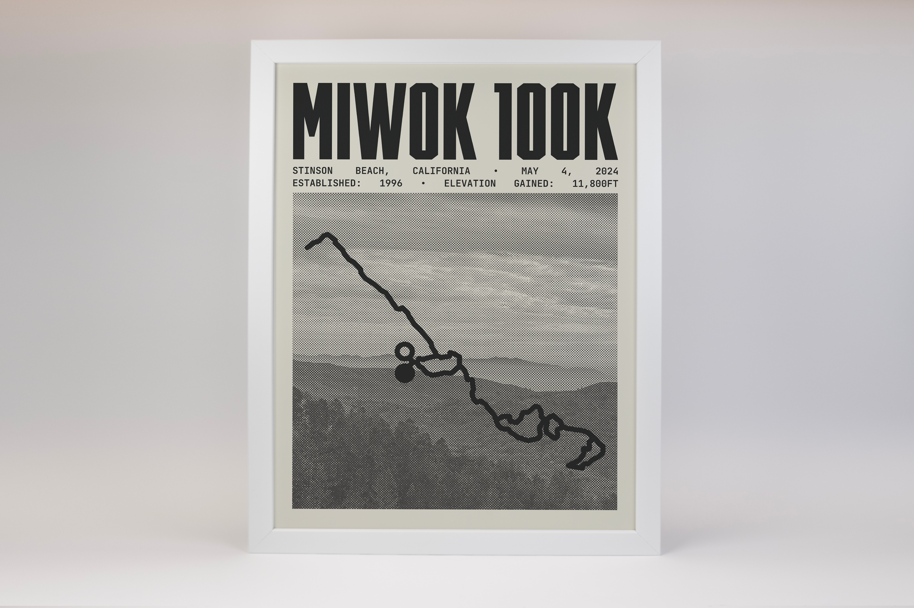 Miwok 100 Endurance Run Poster