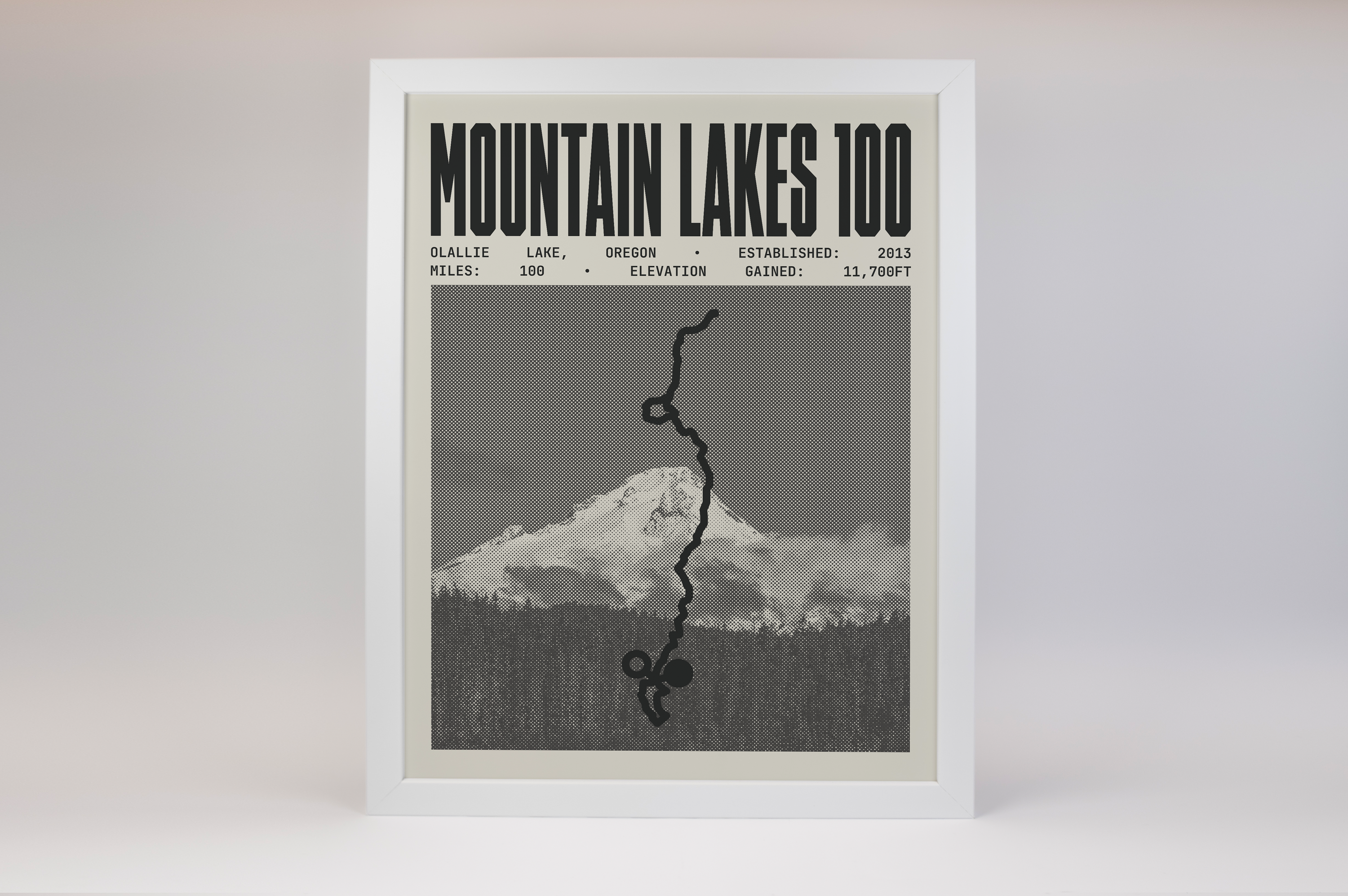 Mountain Lakes 100 Endurance Run Poster