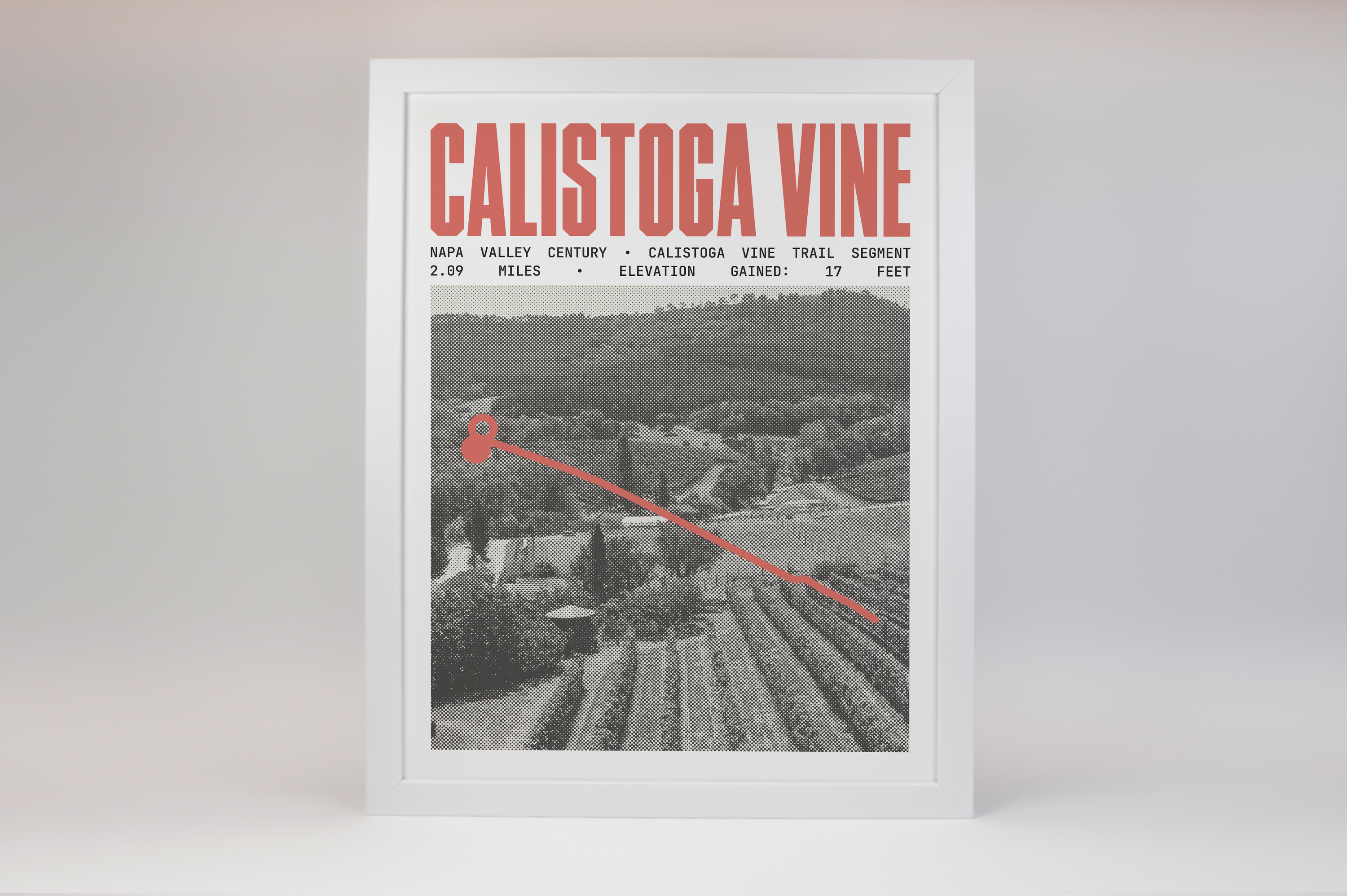 Napa Valley Century - Calistoga Vine Trail Segment Poster