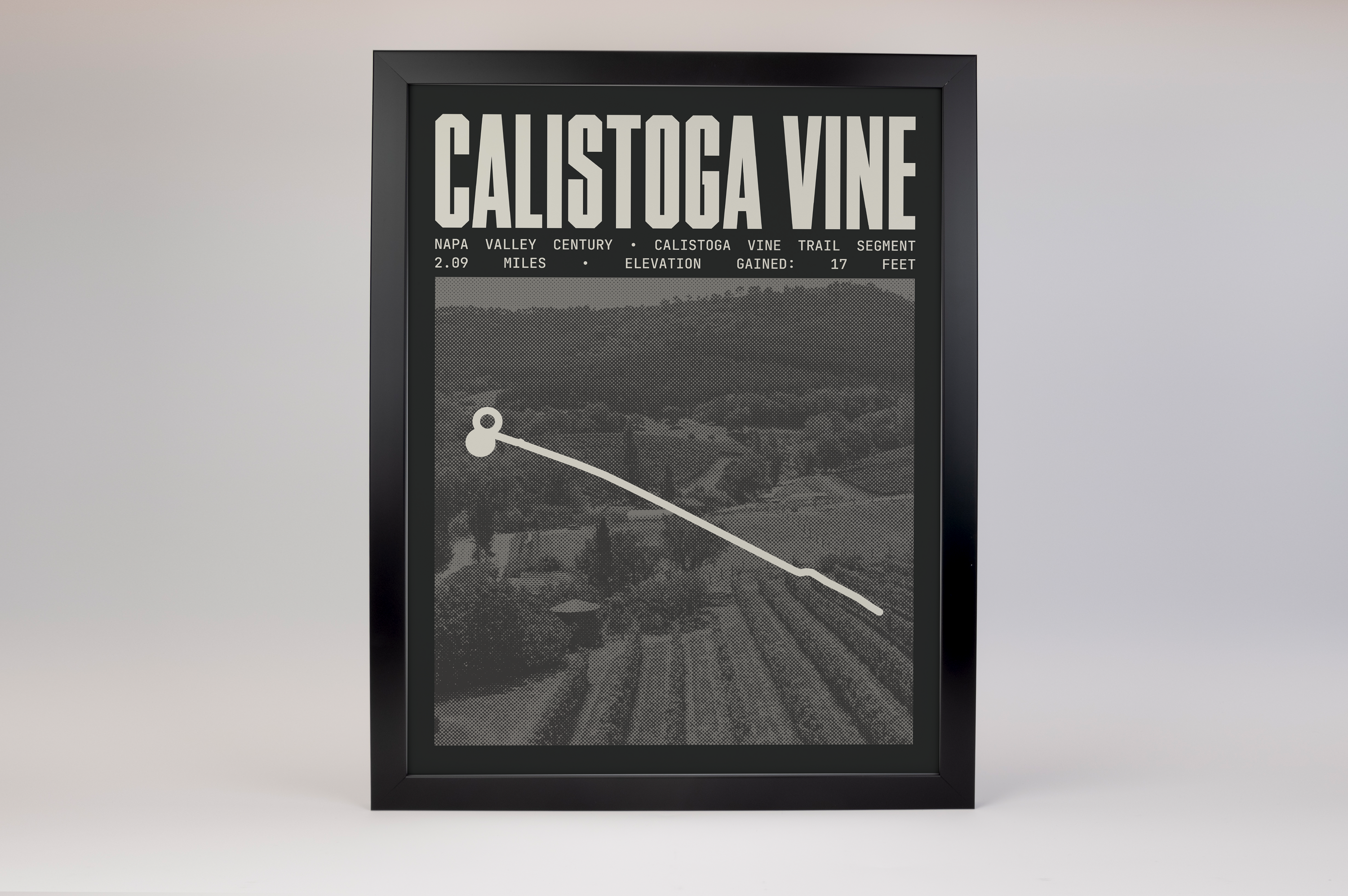 Napa Valley Century - Calistoga Vine Trail Segment Poster