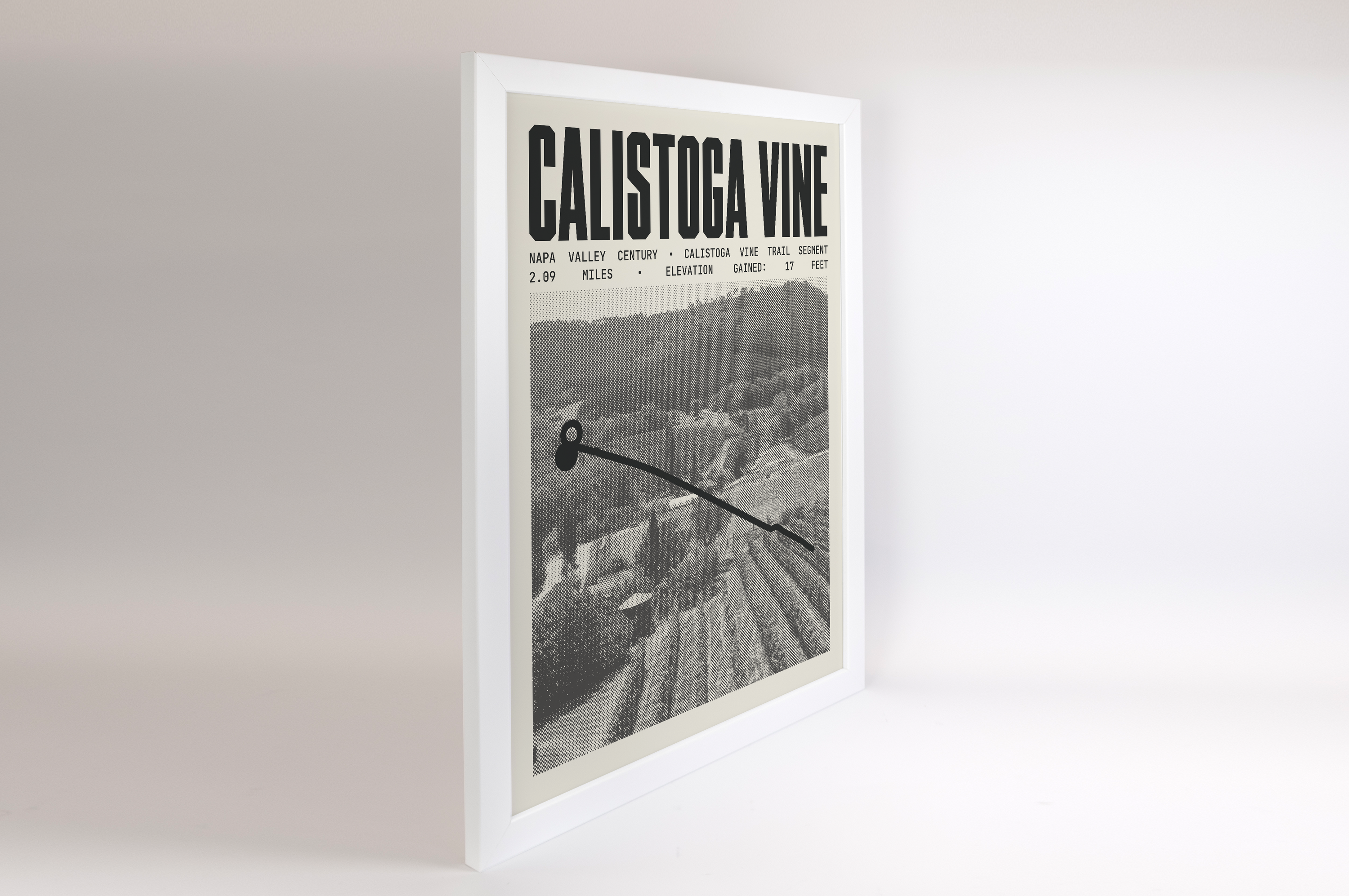 Napa Valley Century - Calistoga Vine Trail Segment Poster