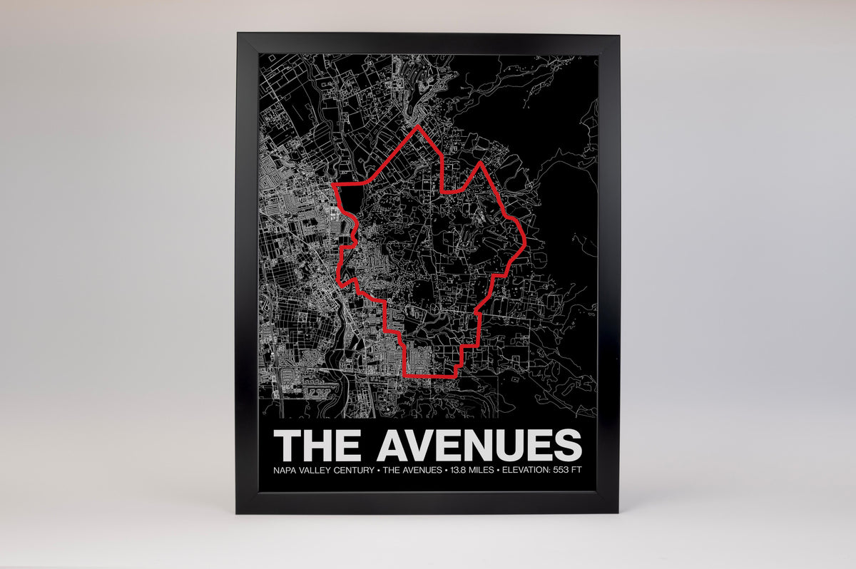 Napa Valley Century The Avenues (Napa) Poster -  Grid Style