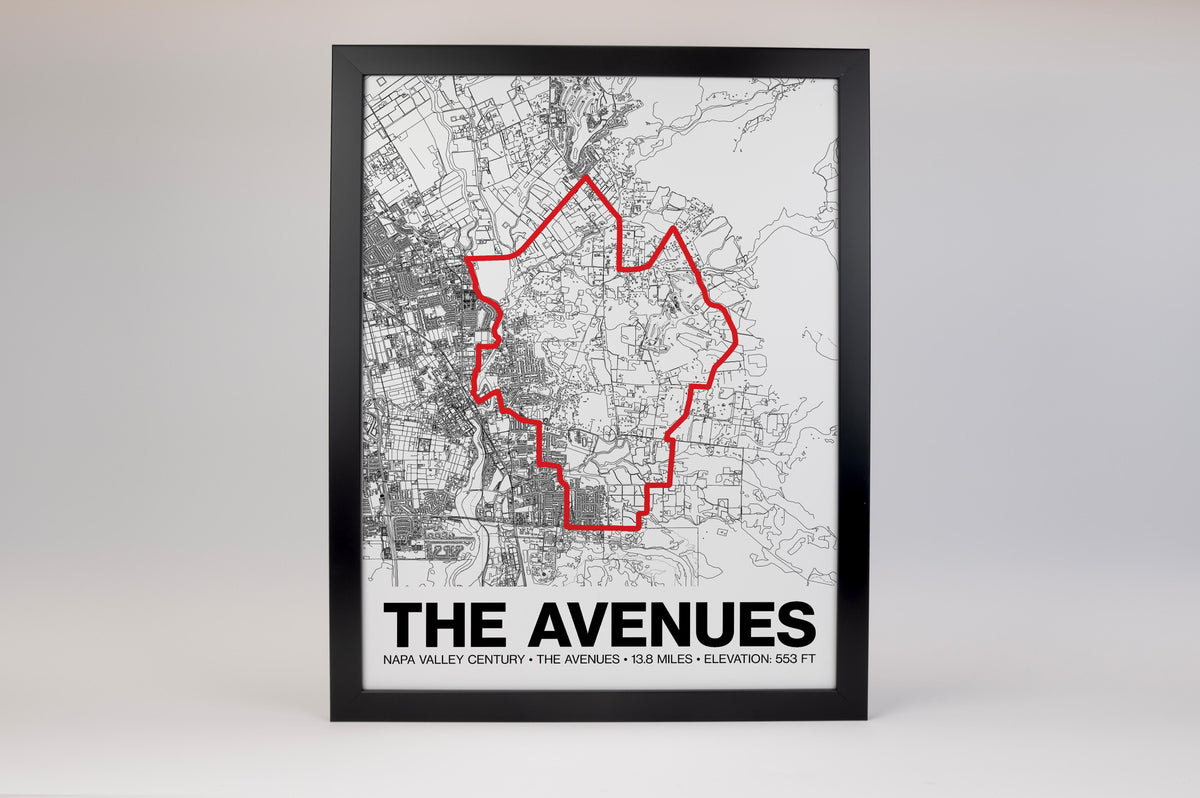 Napa Valley Century The Avenues (Napa) Poster -  Grid Style