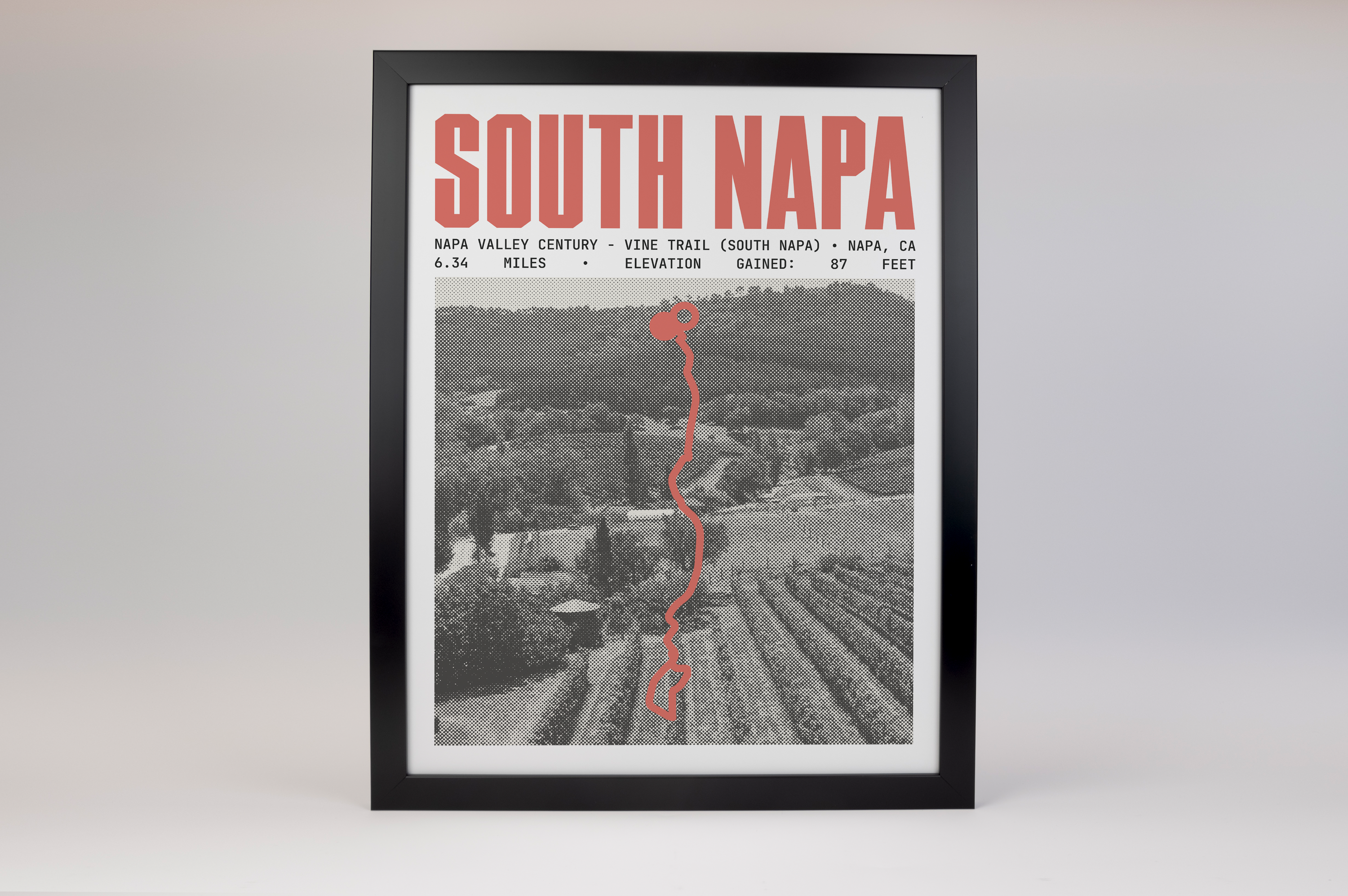 Napa Valley Century - Vine Trail (South Napa) Poster