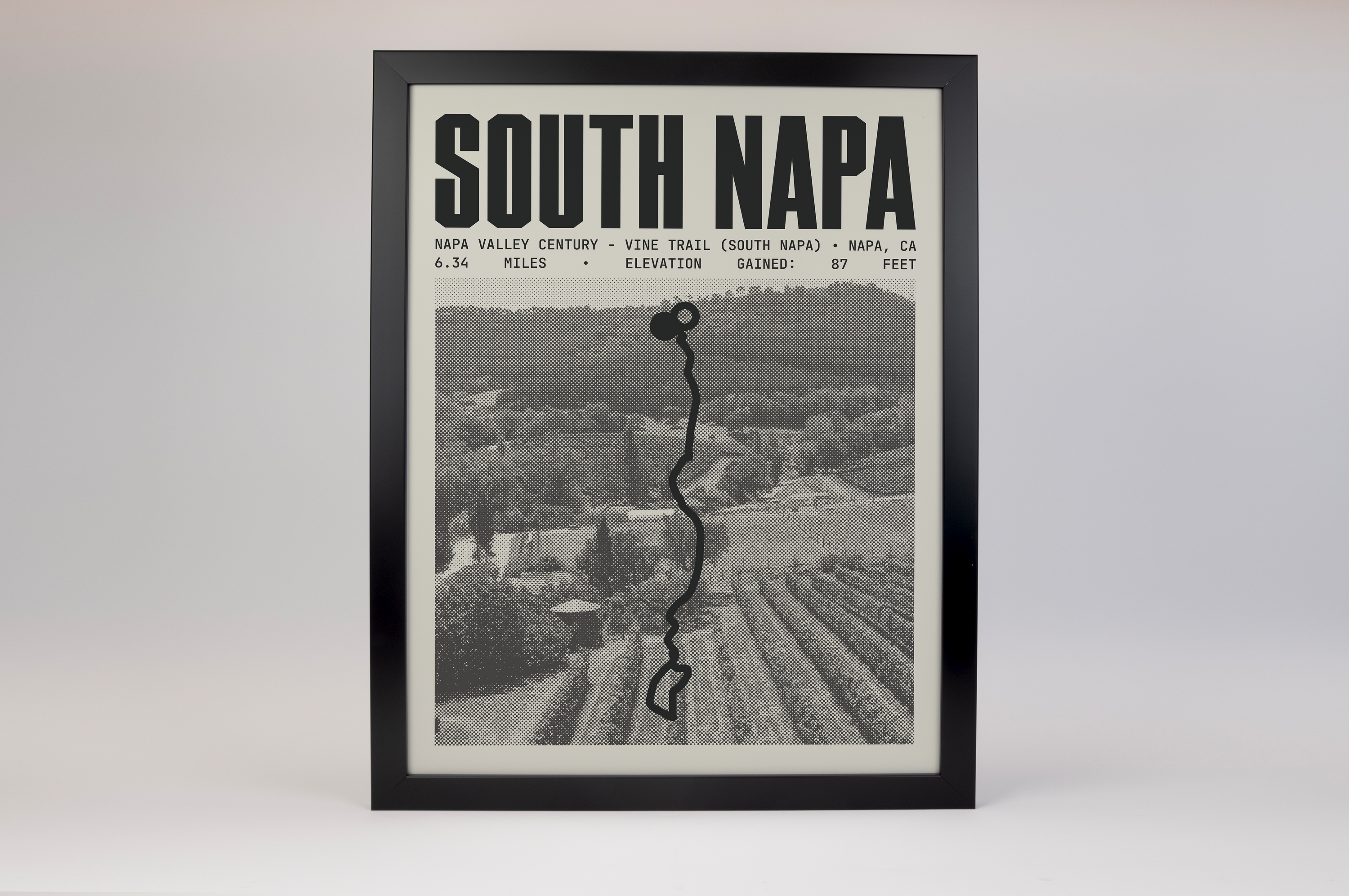 Napa Valley Century - Vine Trail (South Napa) Poster