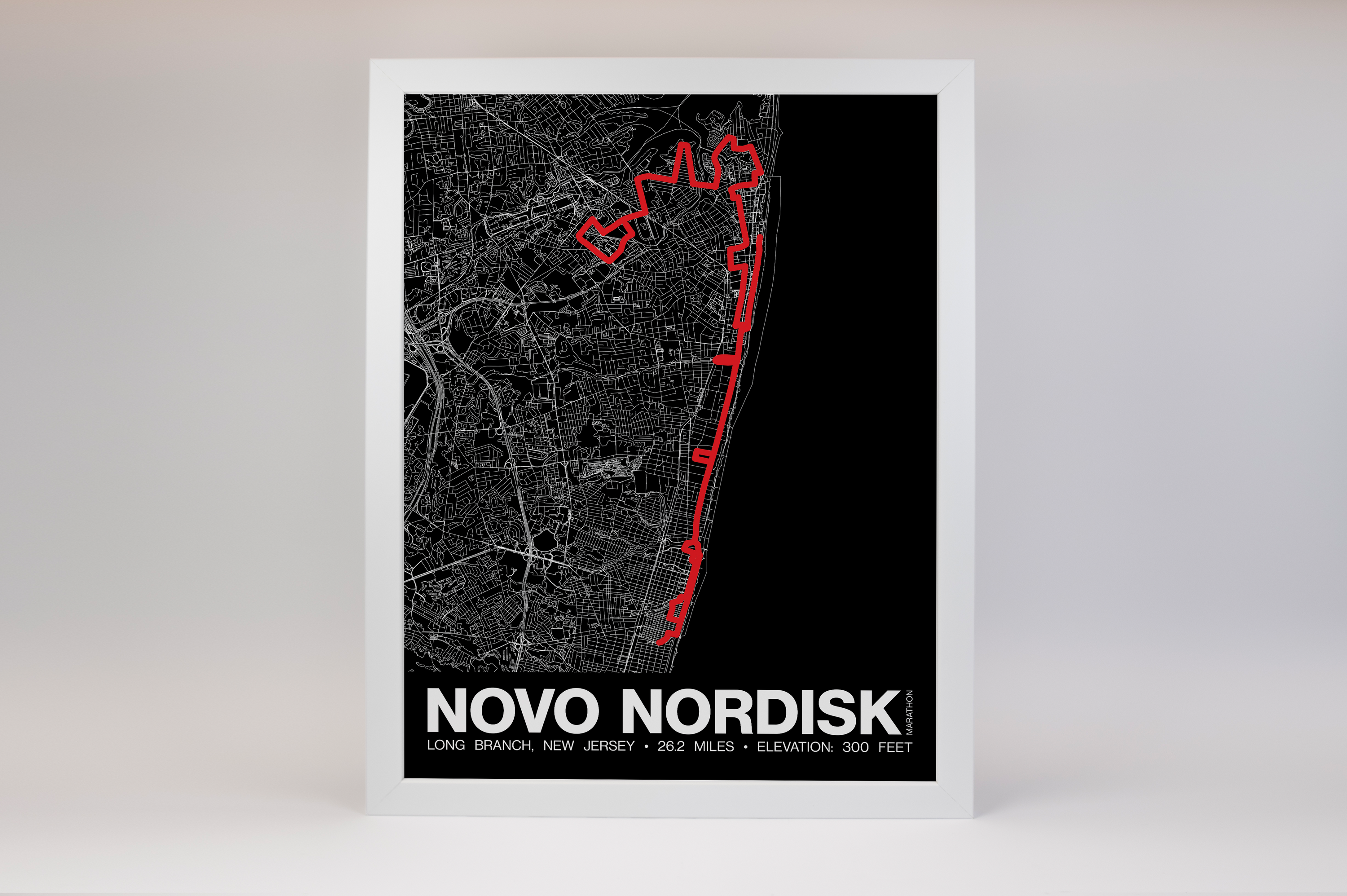 Novo Nordisk New Jersey Marathon Poster - Grid Style