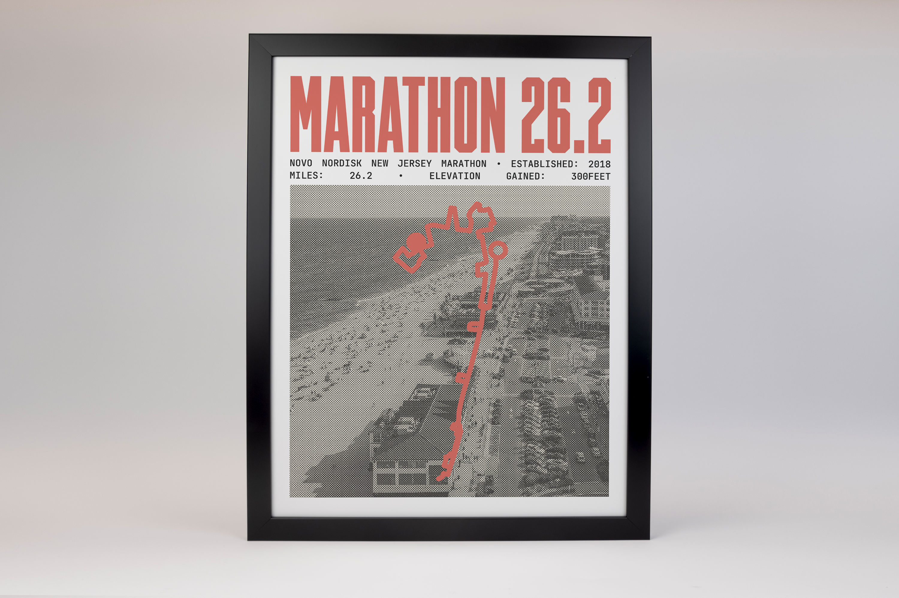 Novo Nordisk New Jersey Marathon Poster