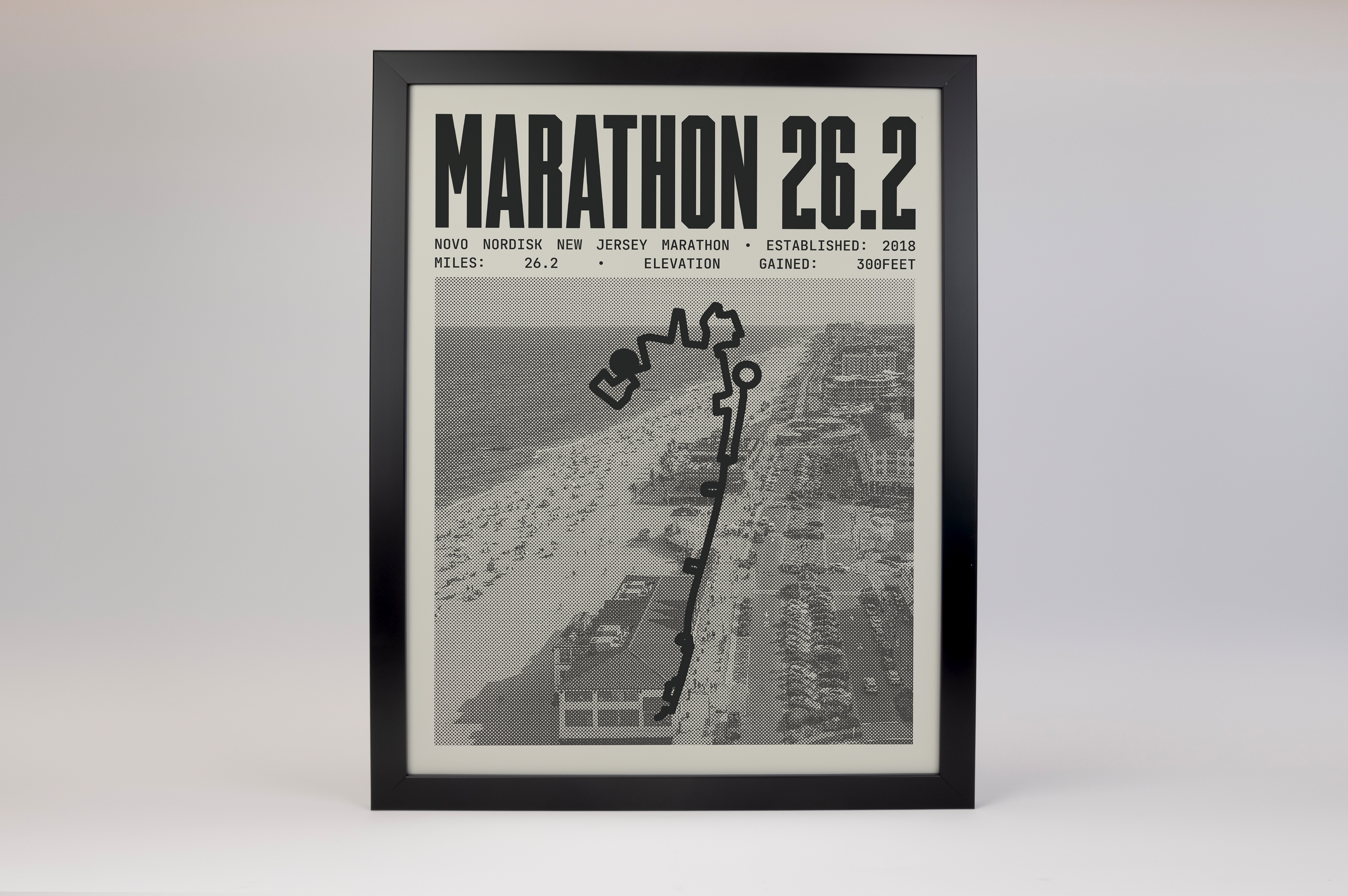 Novo Nordisk New Jersey Marathon Poster