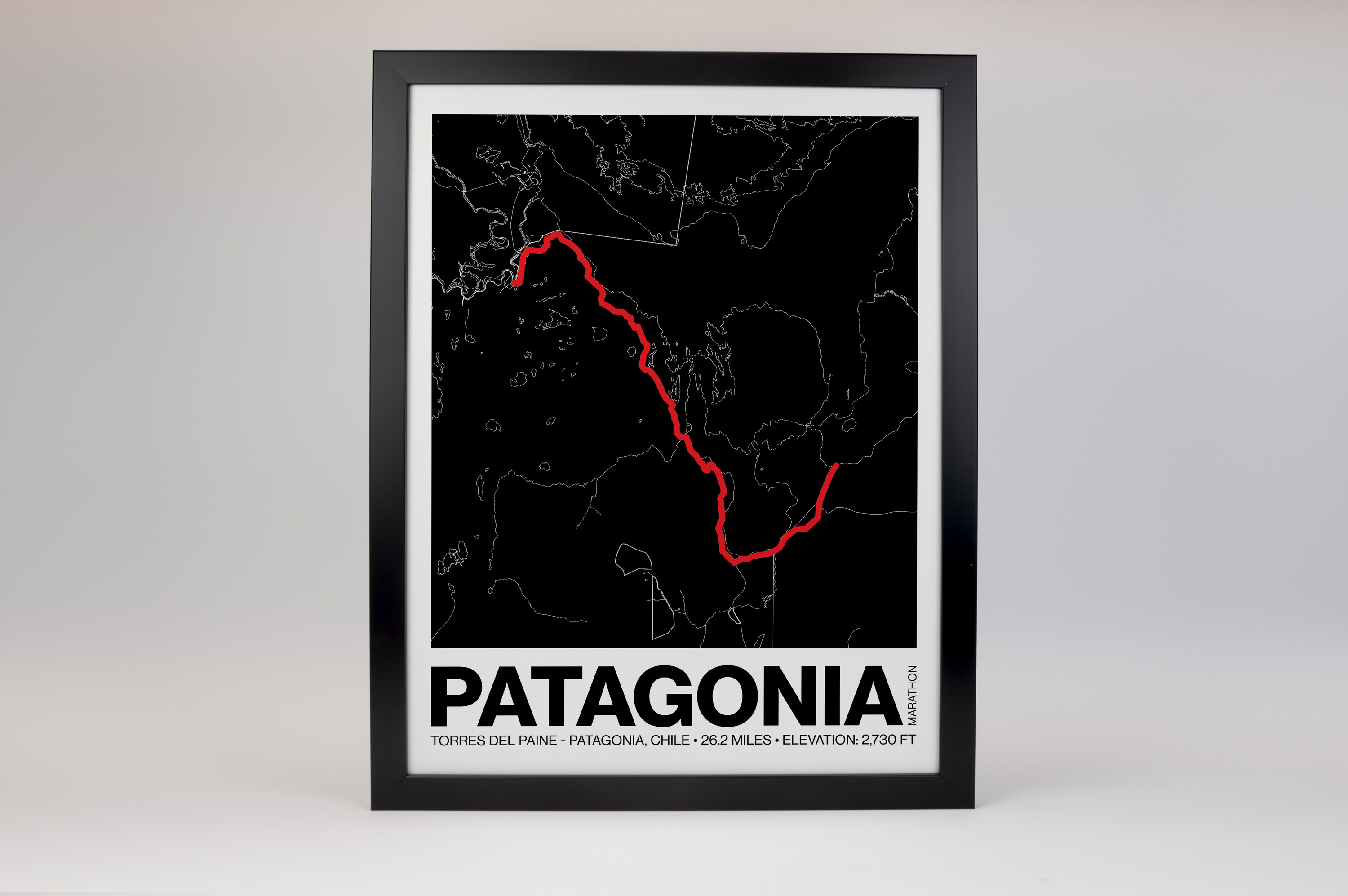 Patagonia Marathon Poster - Grid Style