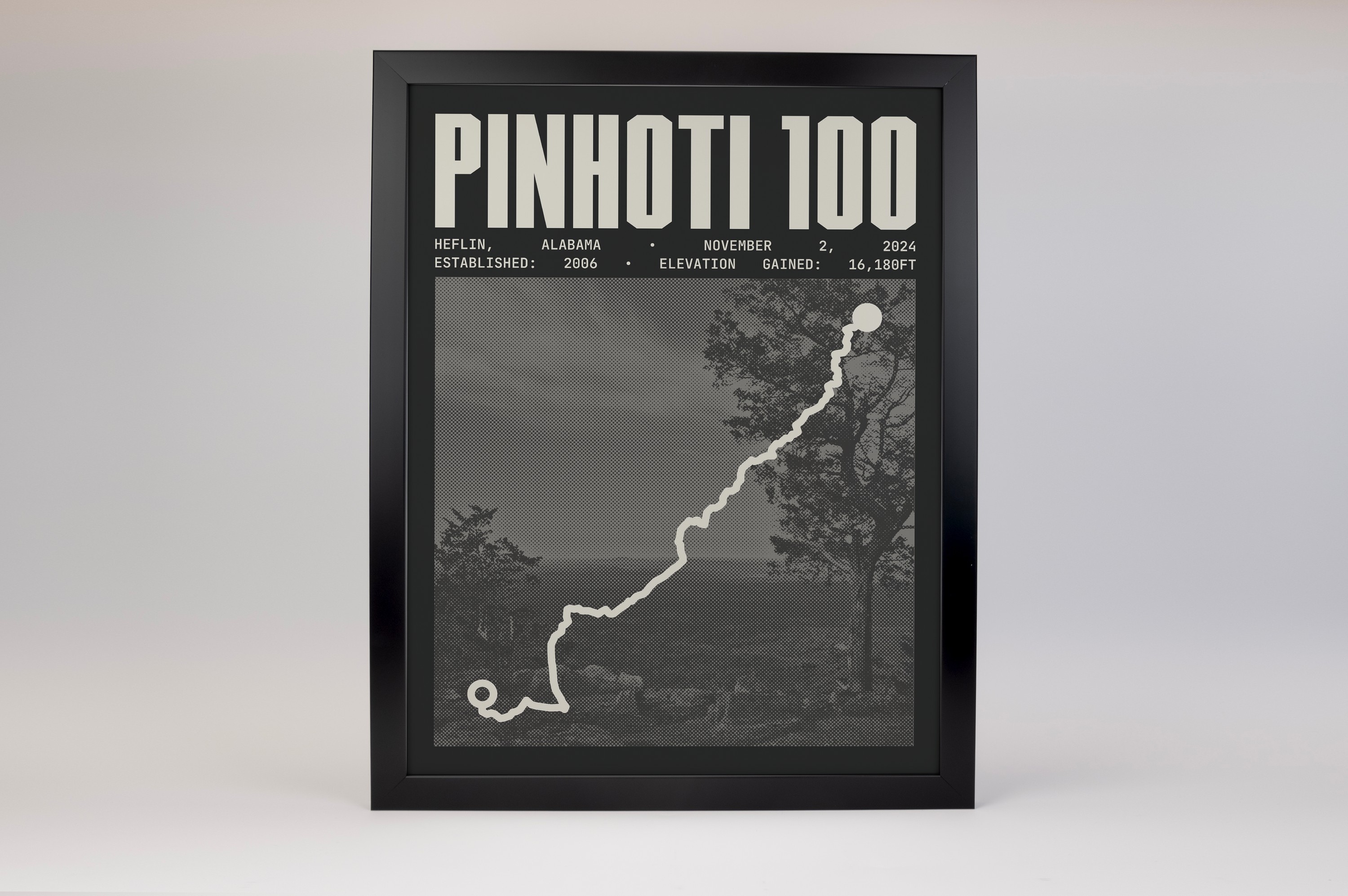 Pinhoti 100 Endurance Run Poster